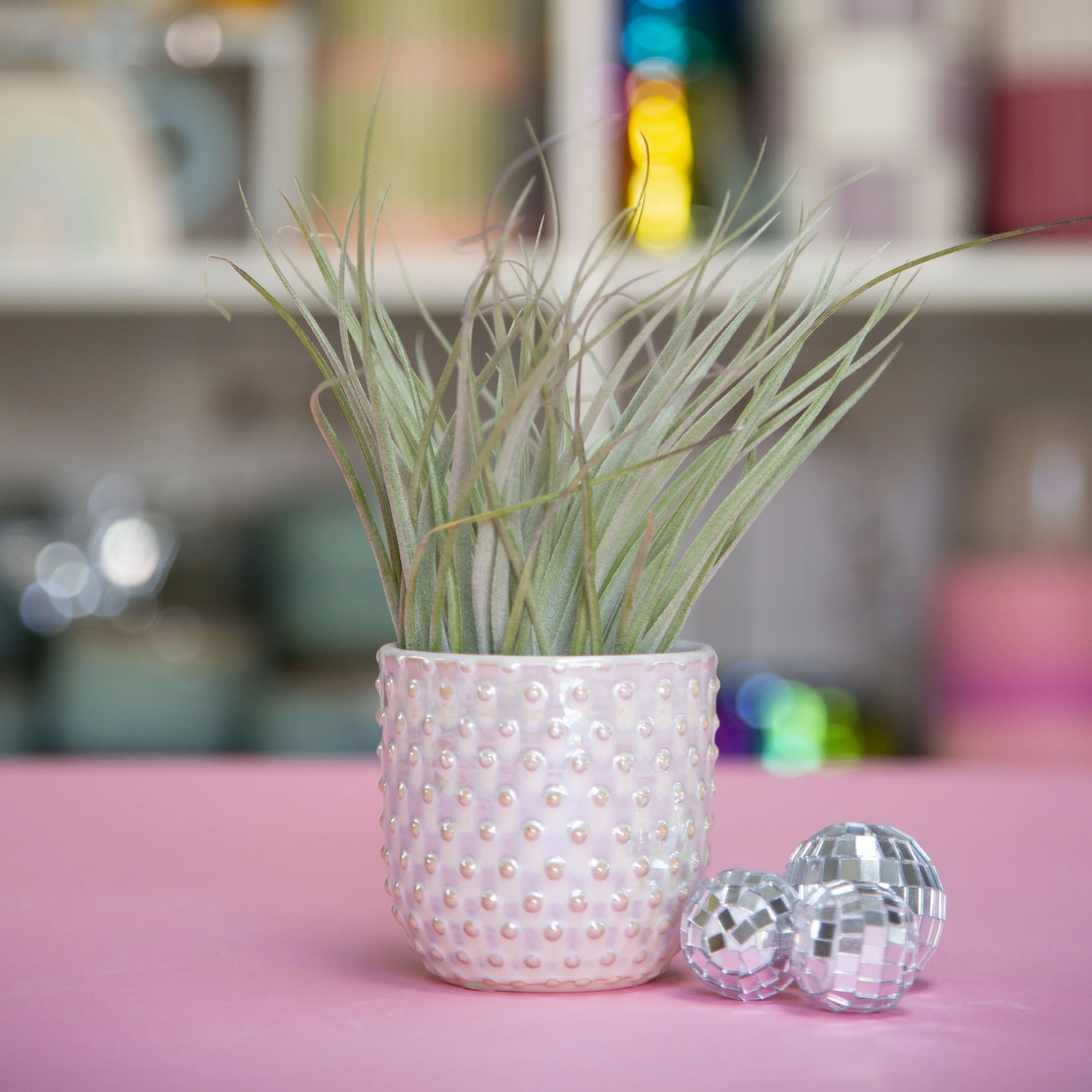 Everly Iridescent Hobnail Planters 3" and 4"