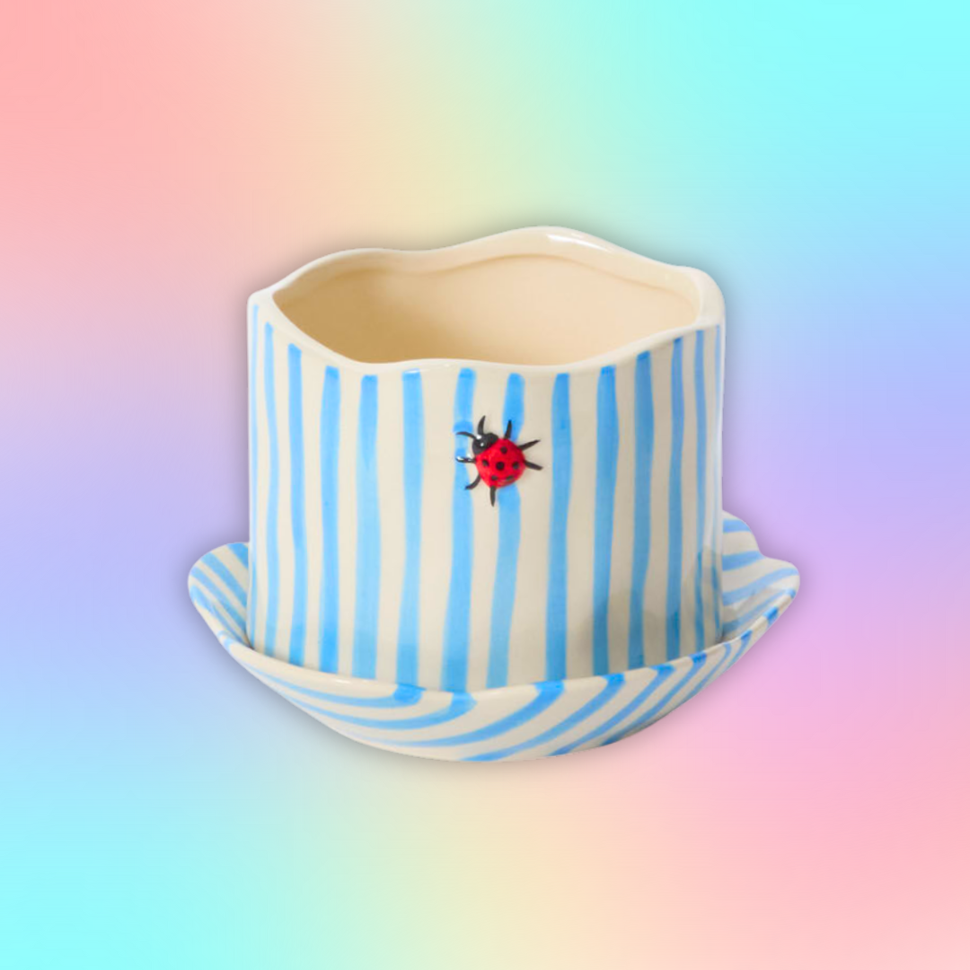 Ladybug Pot and Saucer