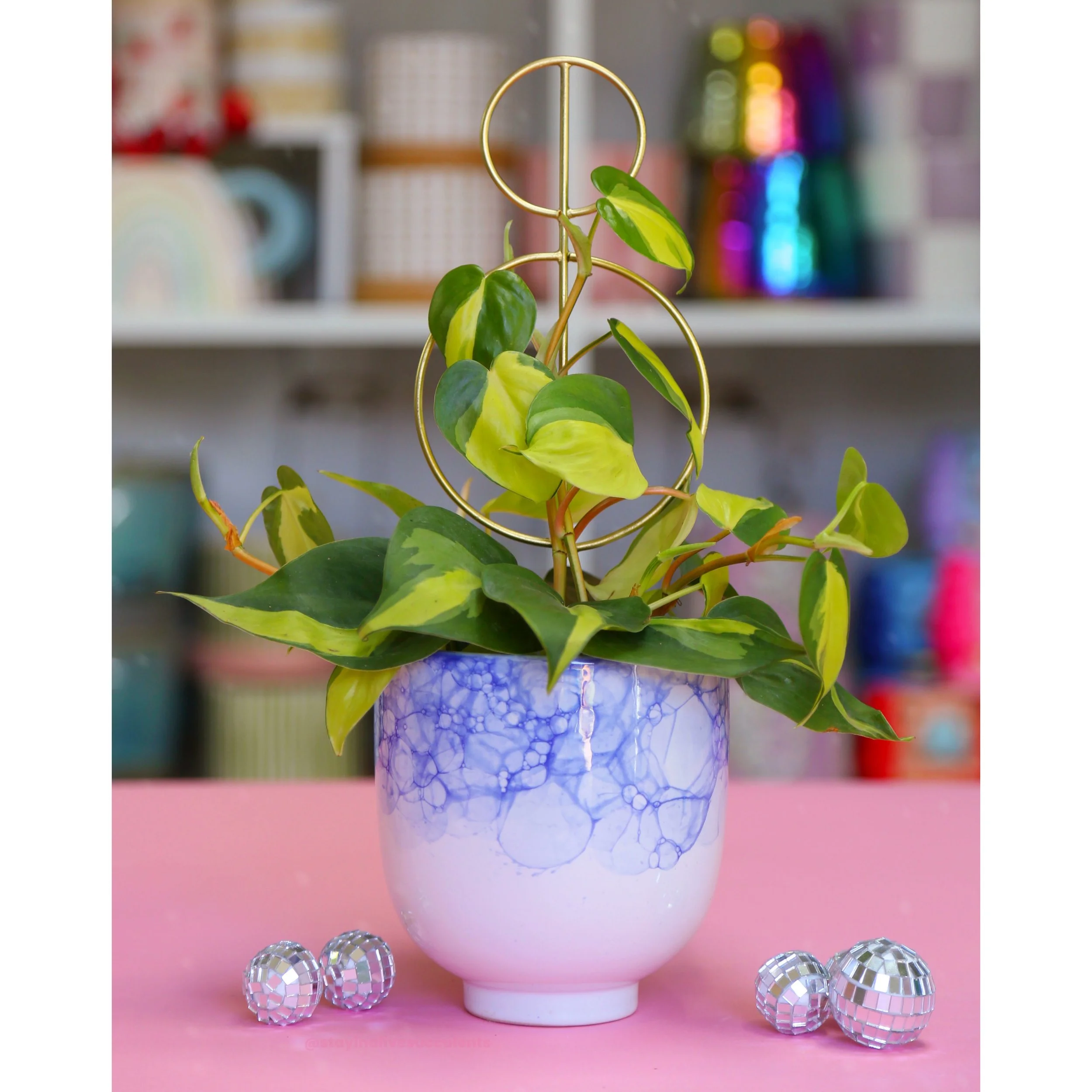 Ellory Blue & White Watercolor Planter 5"