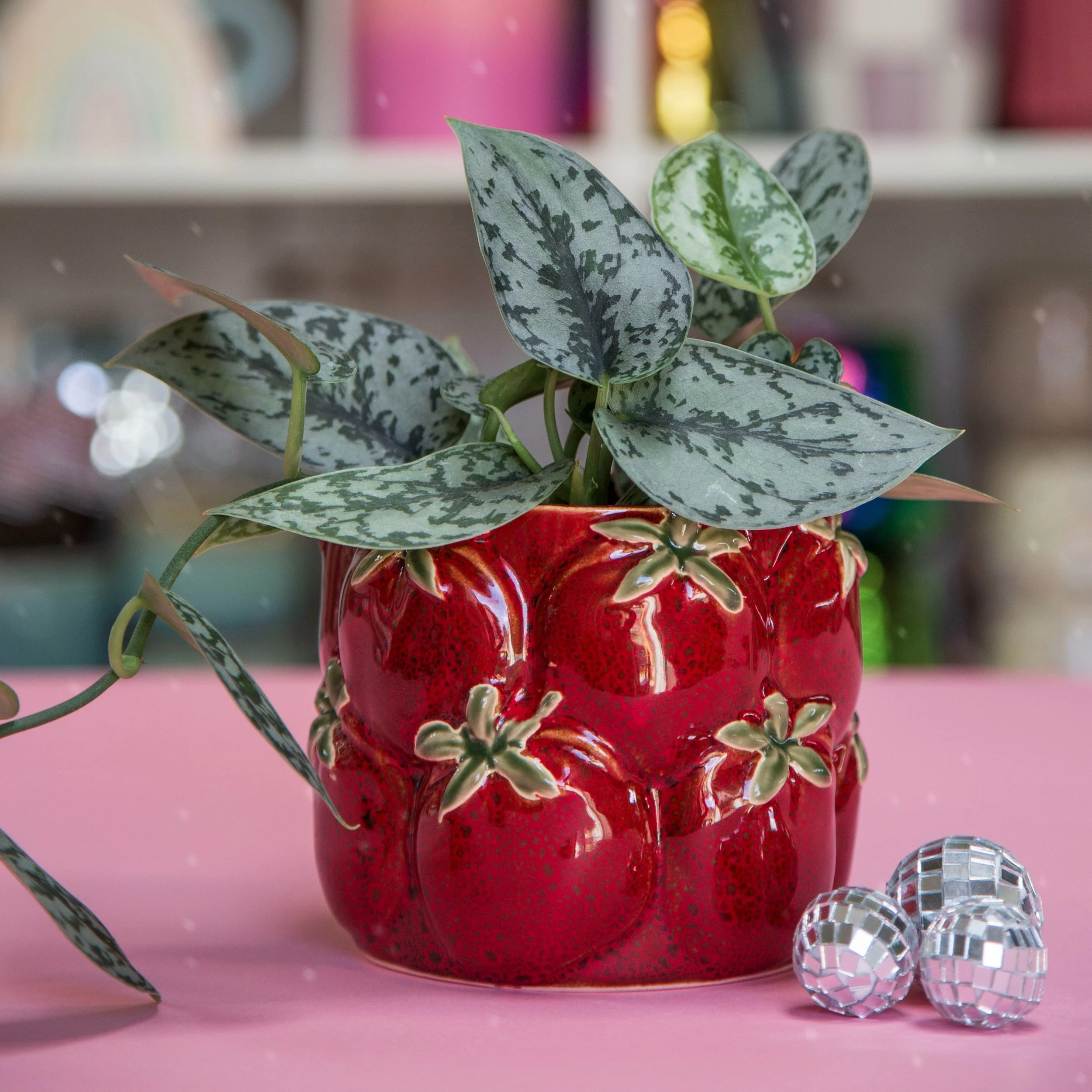 Cucina Tomato Pot 4"
