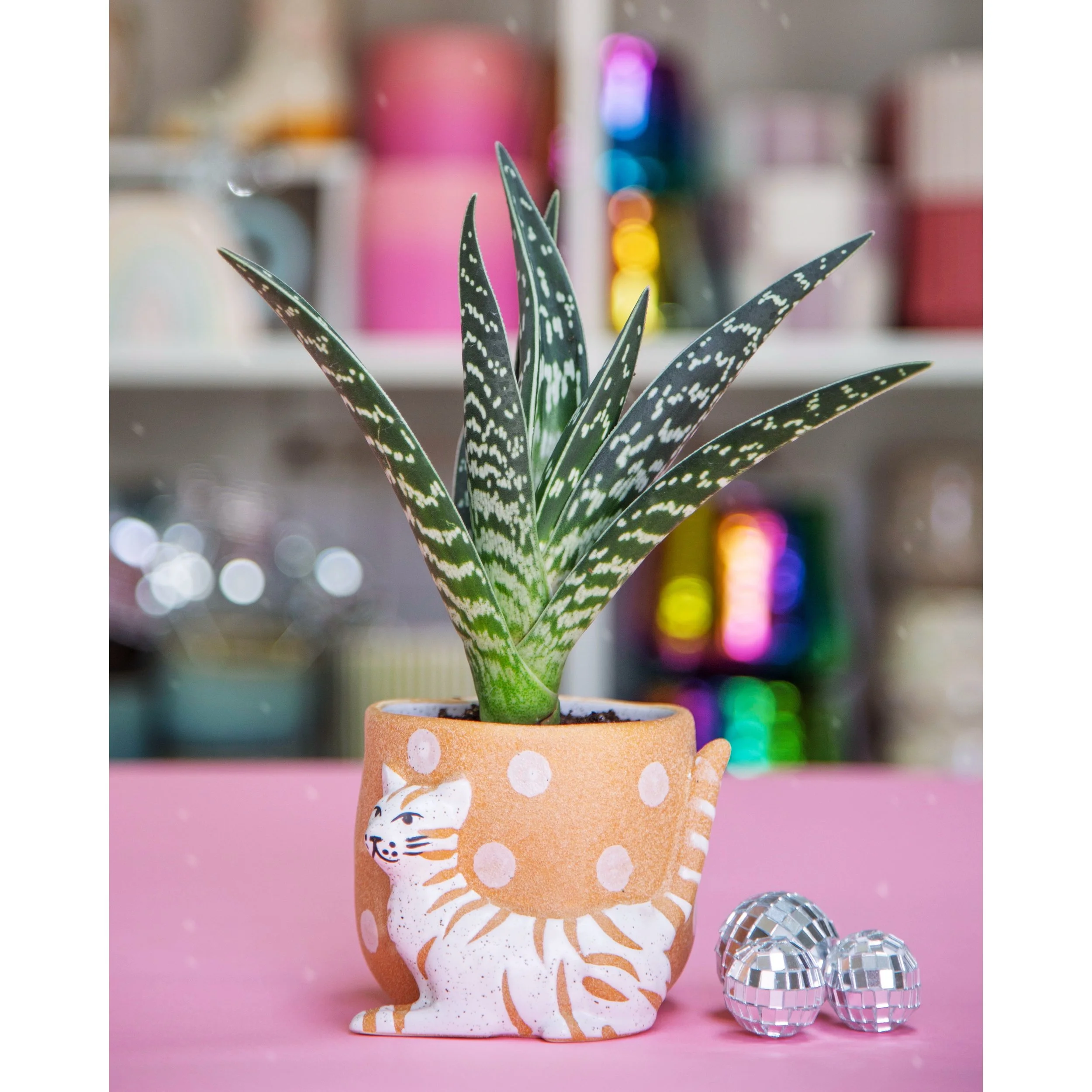 Kitty Dot Pot 3.5"