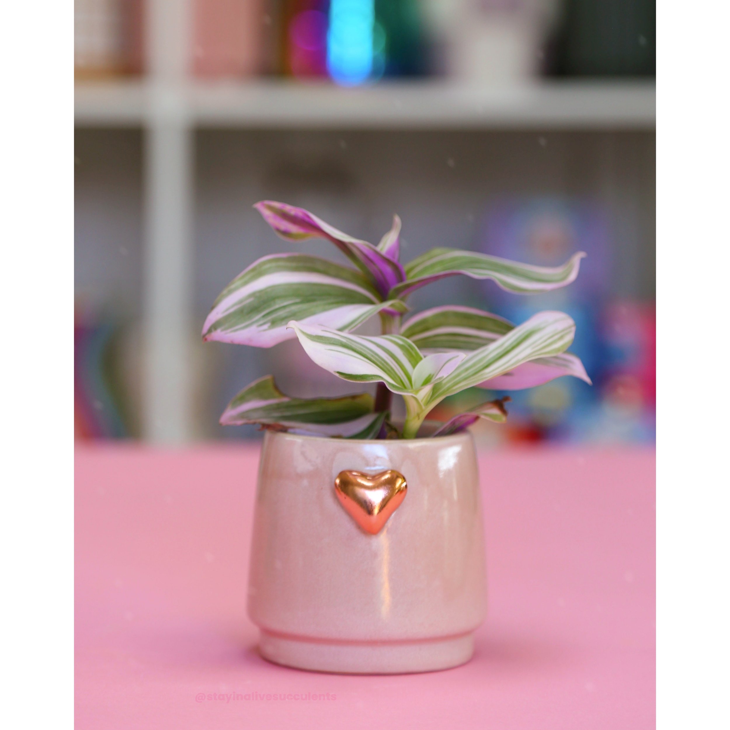 Lovelight - Rose Gold Heart Pot 3"
