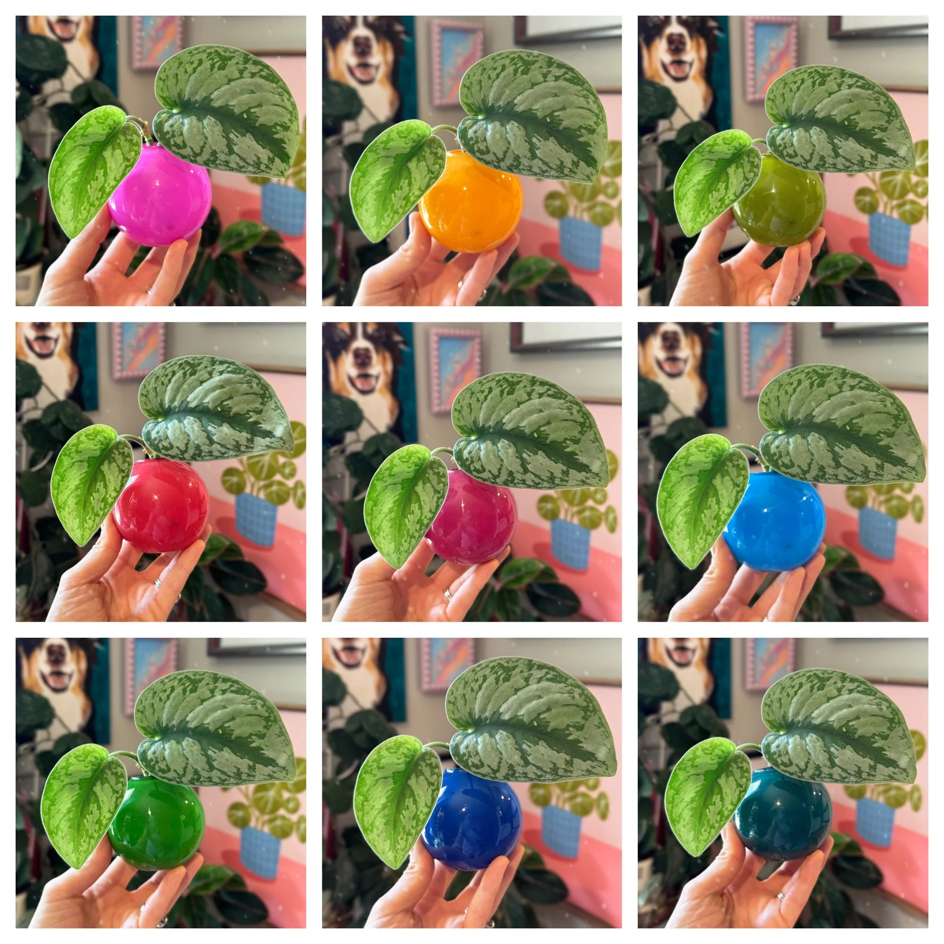 Propagation Ball Vases - Rainbow Assortment