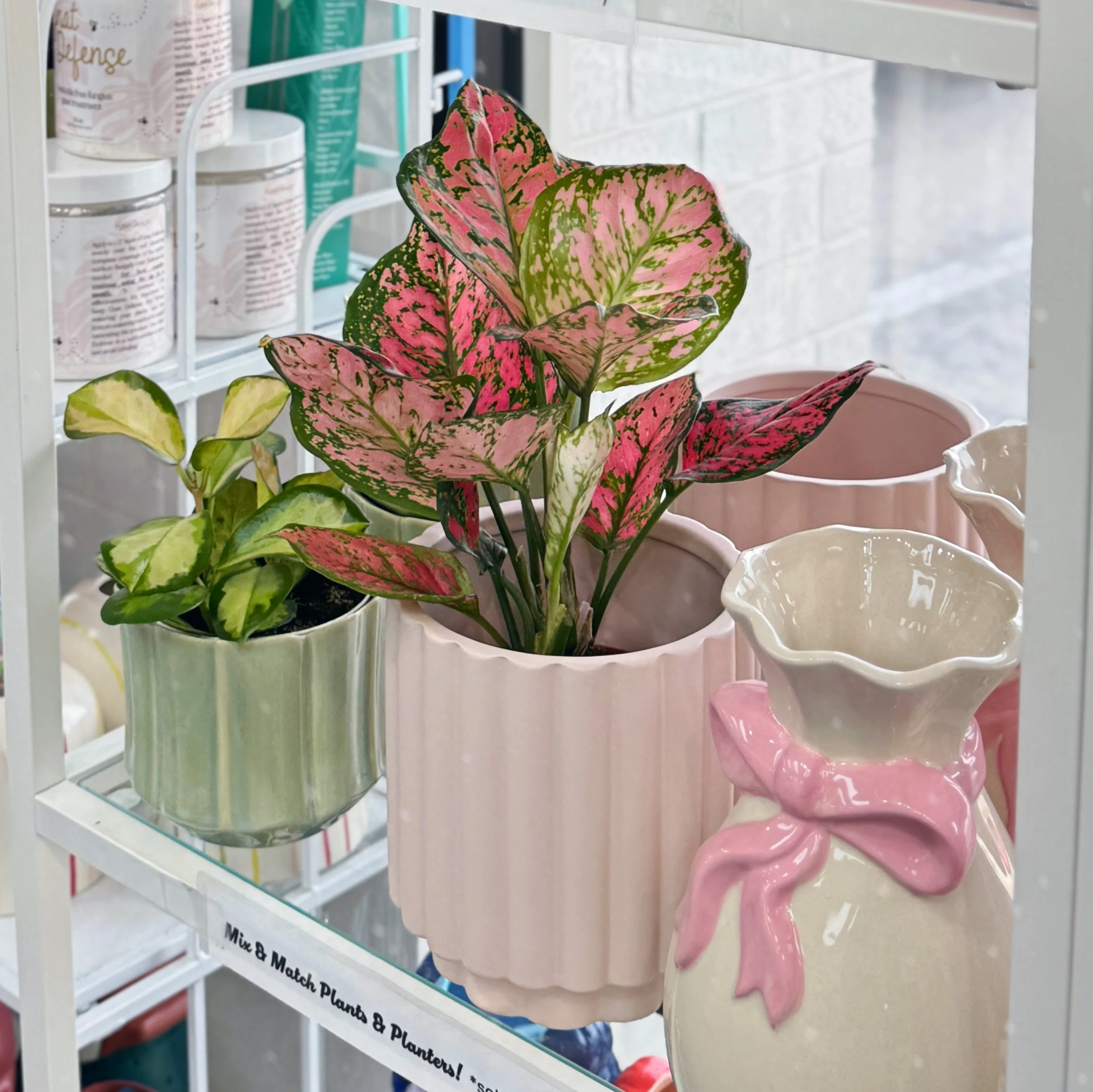 Everleaf Mint Glazed Pot