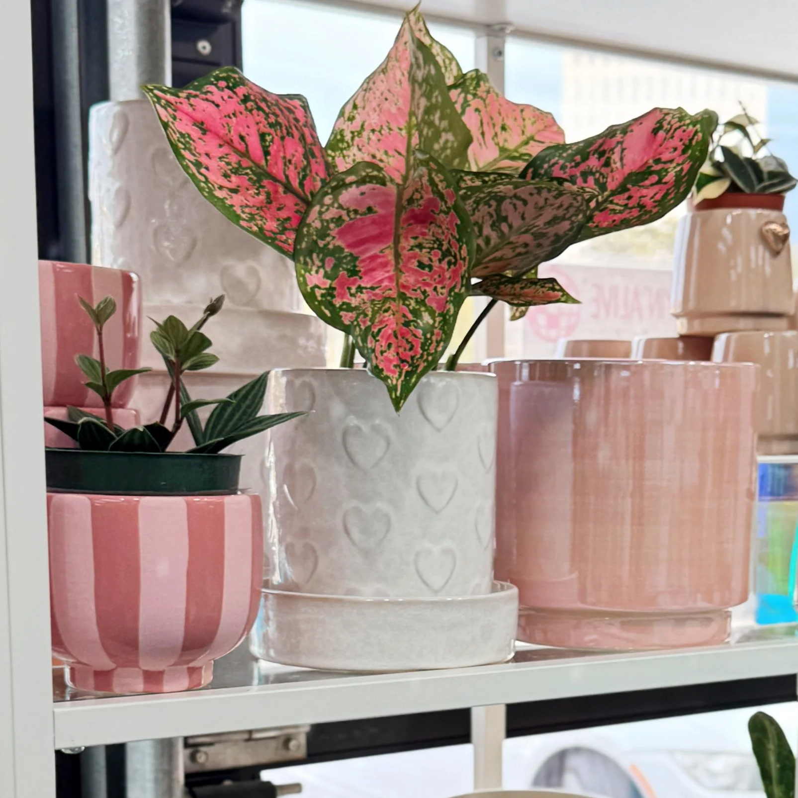 Heartfelt Planter with Saucer 5"