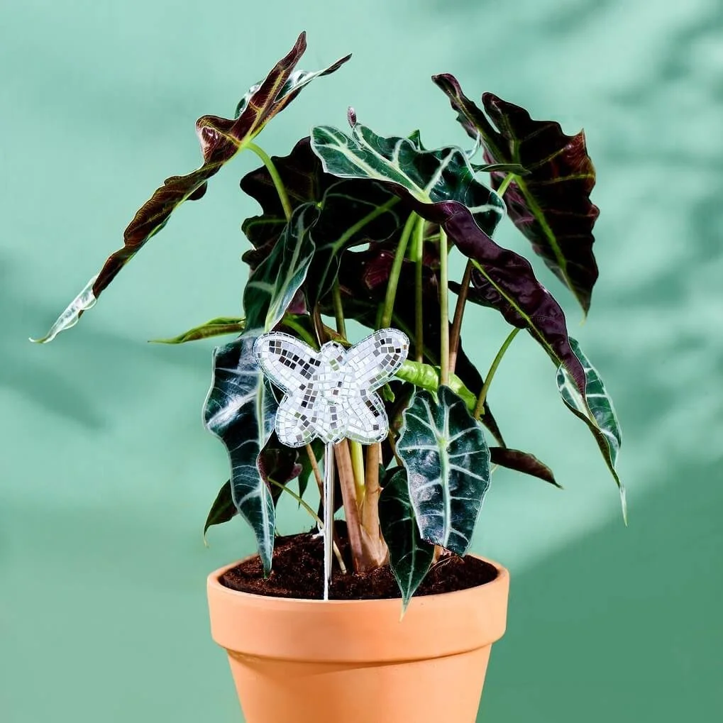 Butterfly Disco Plant Stake