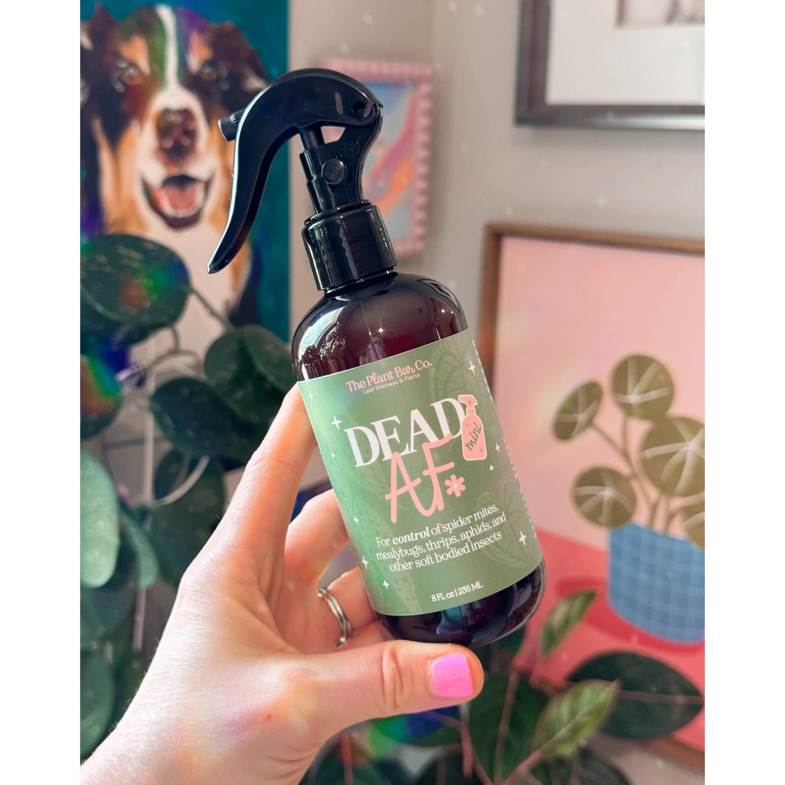Dead AF - Natural Insecticide Spray 8oz or 16oz