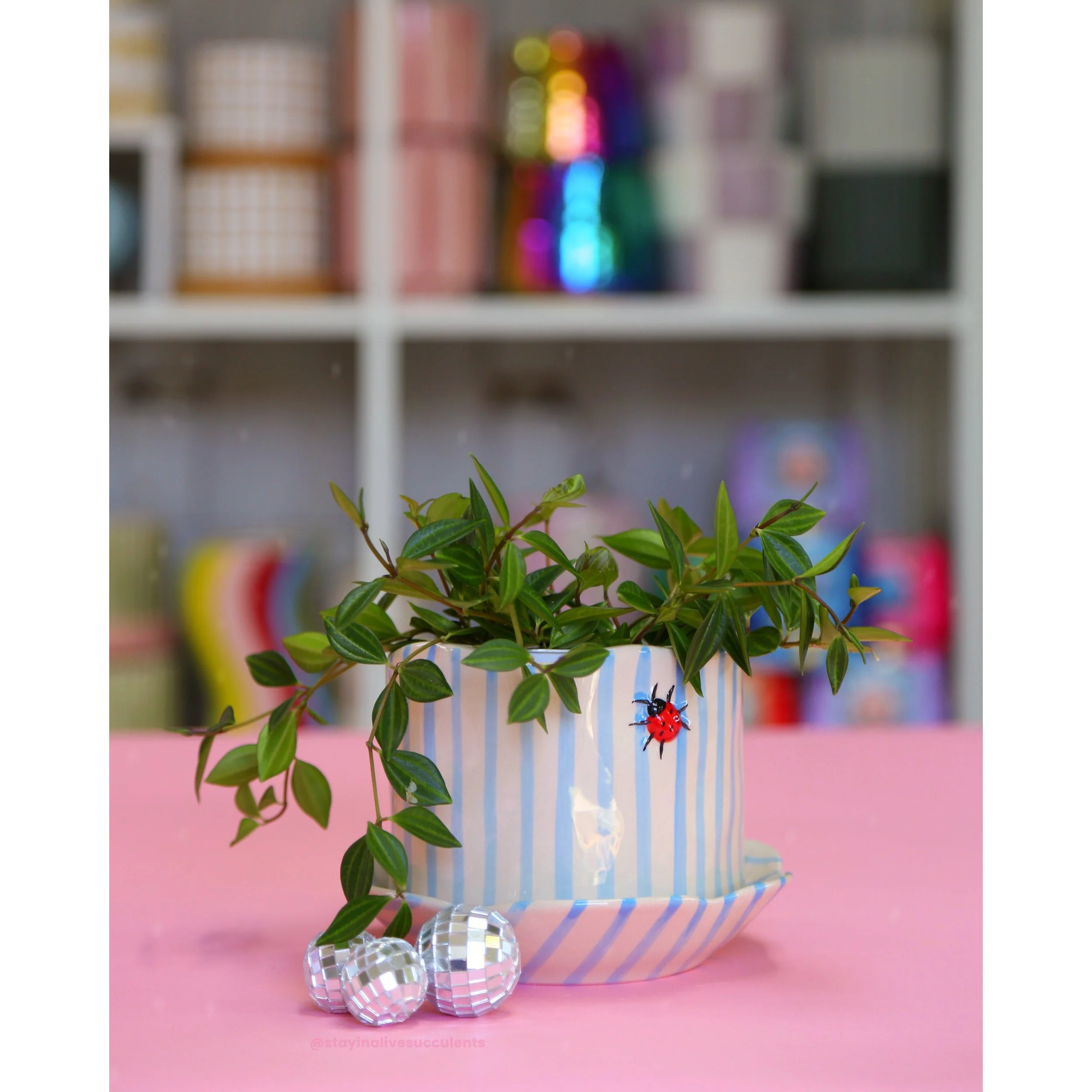 Ladybug Pot and Saucer 5"