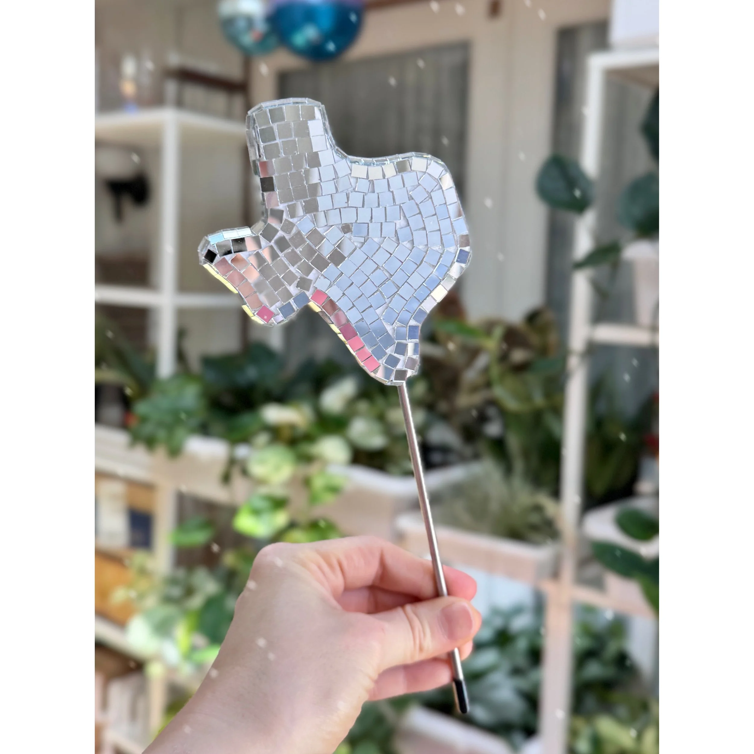 Texas Disco Plant Stake