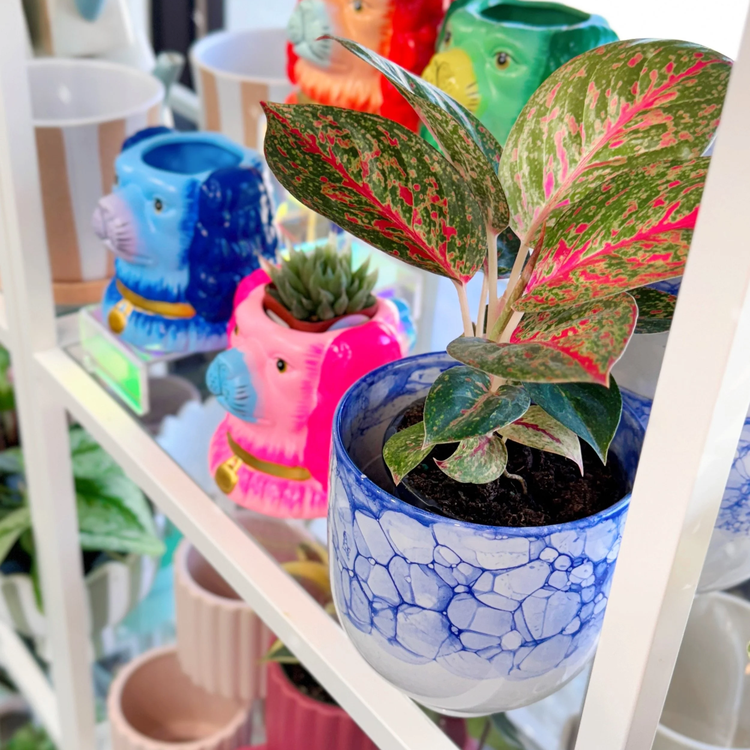 Ellory Blue & White Watercolor Planter 5"
