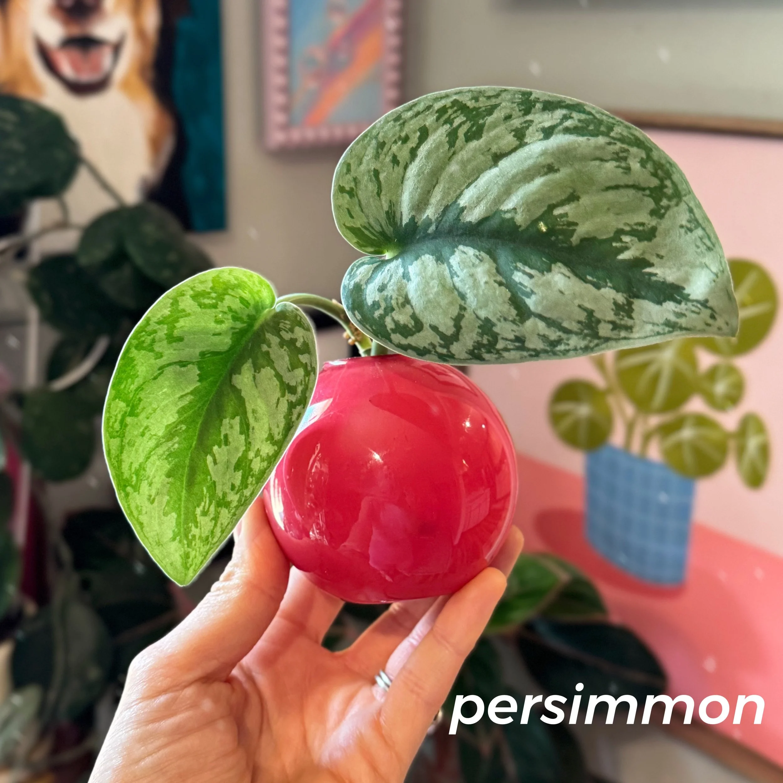 Propagation Ball Vases - Persimmon