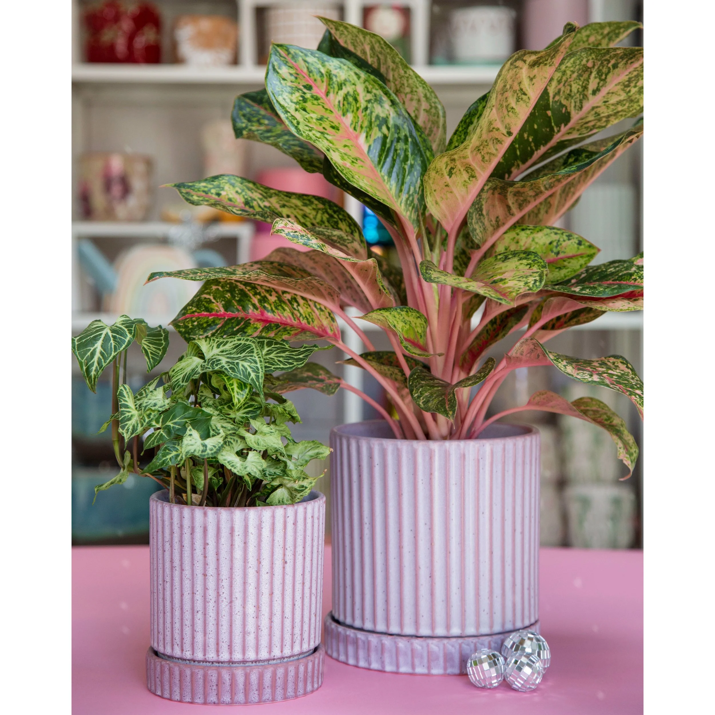 Los Feliz Lilac Planters with Saucer 4" and 6"
