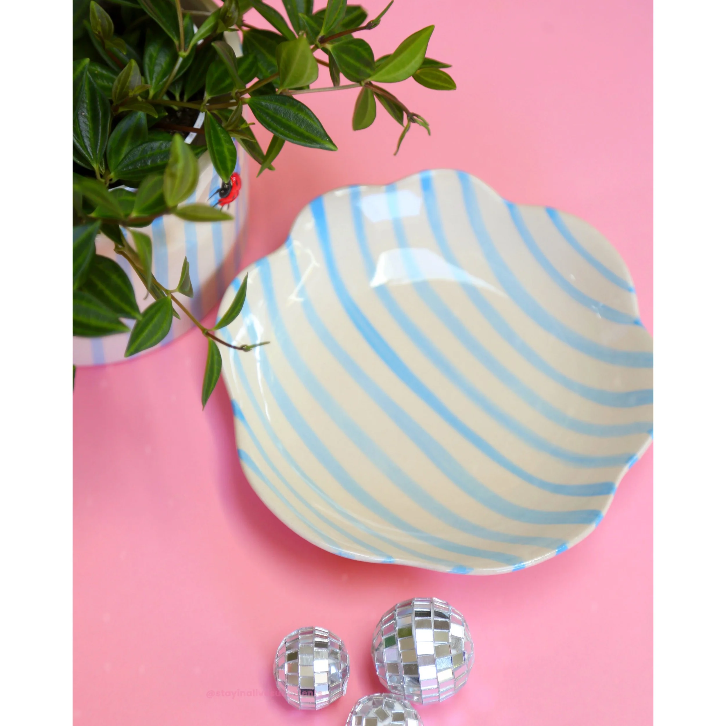 Ladybug Pot and Saucer with Peperomia Angulata