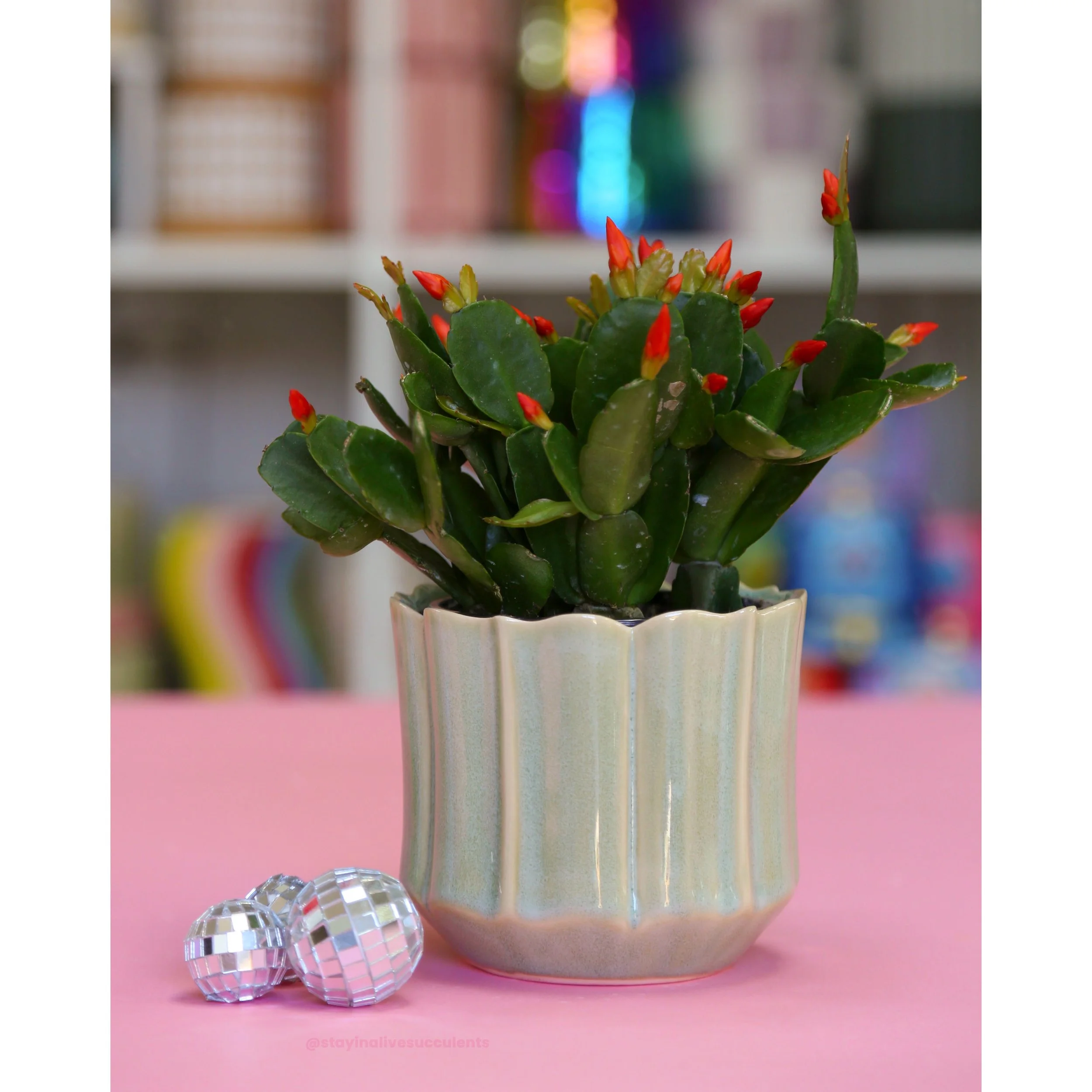 Everleaf Mint Glazed Pot 4"