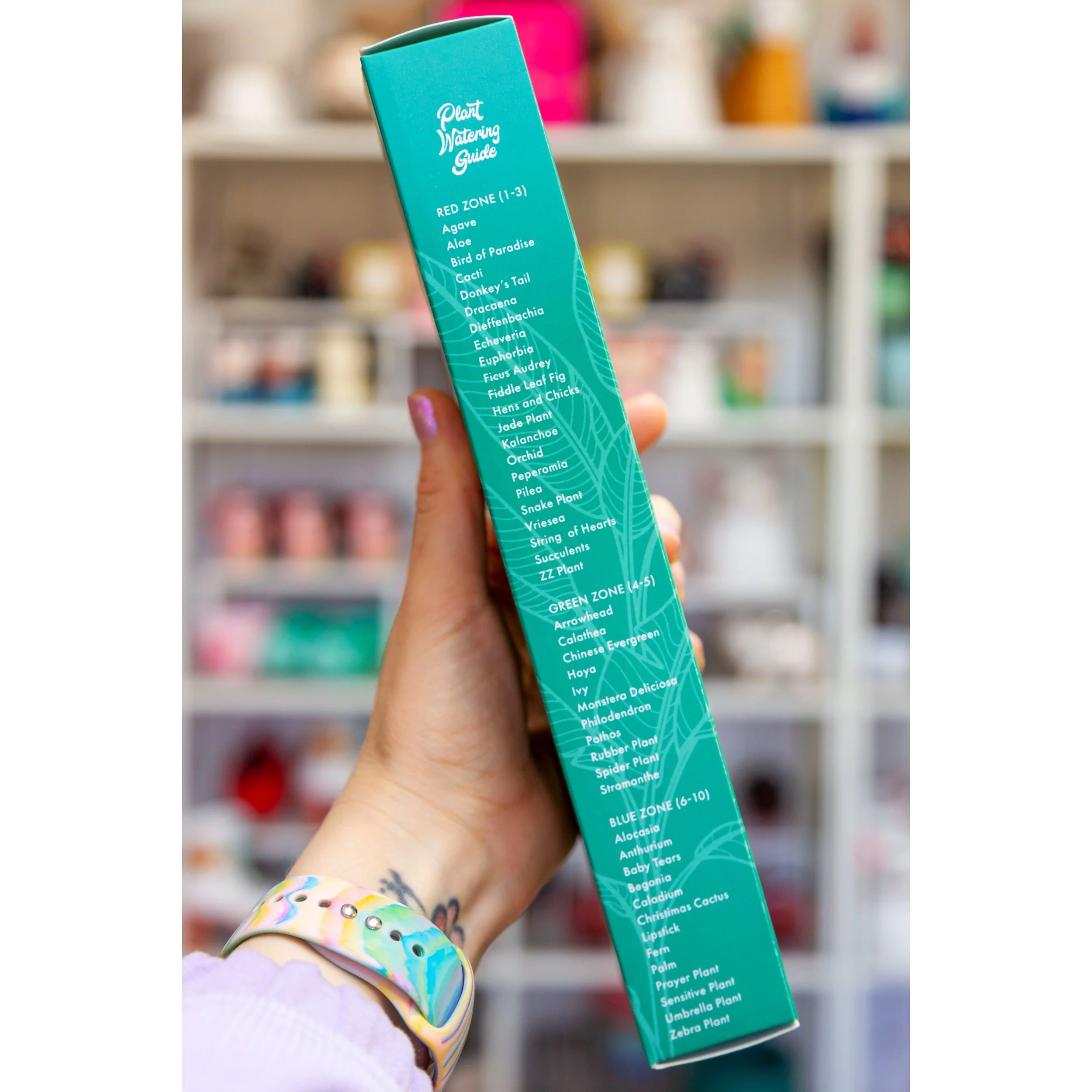 3 in 1 Moisture Meter - Mint Green