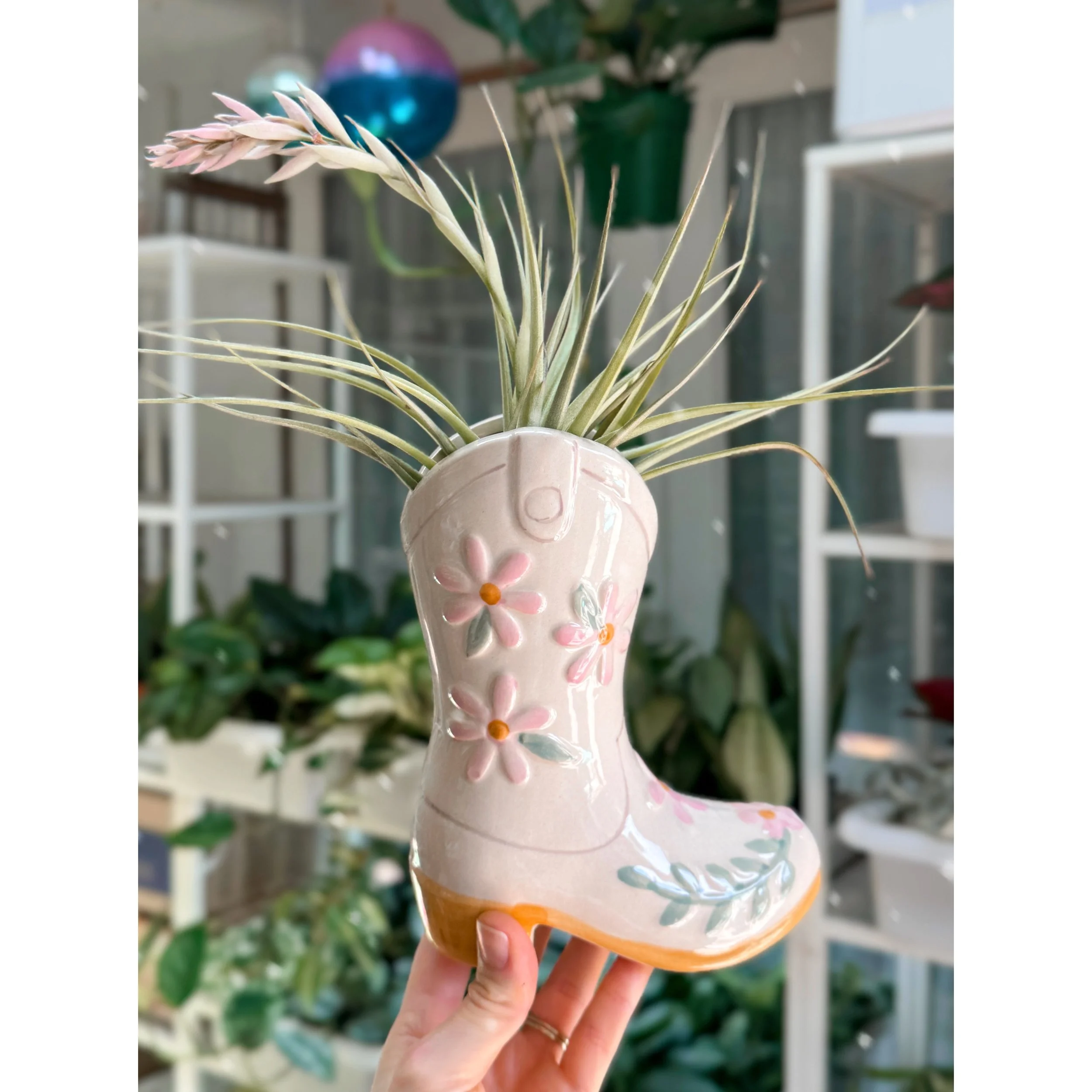 Tillandsia Stricta Hybrid - Pink Blooms (Air Plant) in Cowgirl Boot Vase