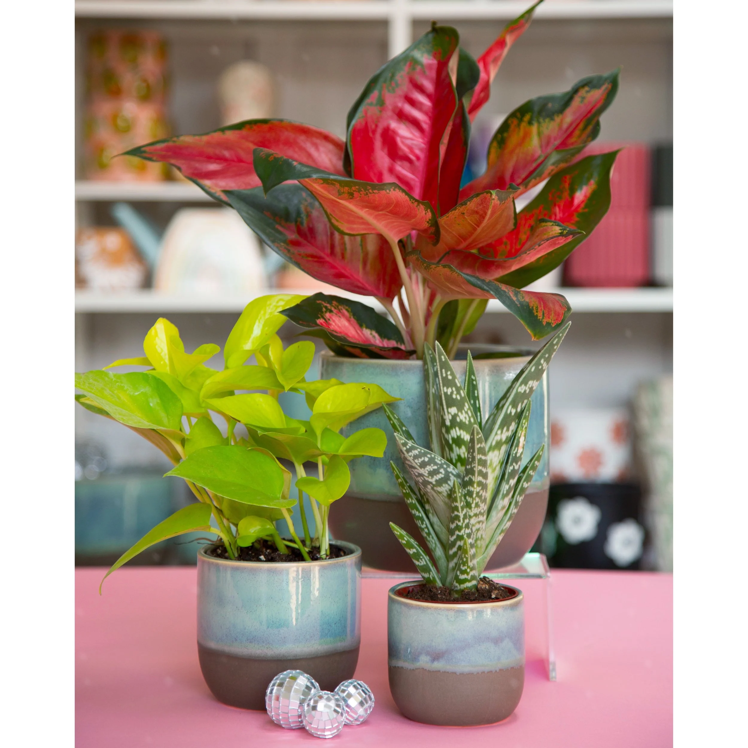 Caribe Teal Glazed Planters 3.5", 4" and 6"
