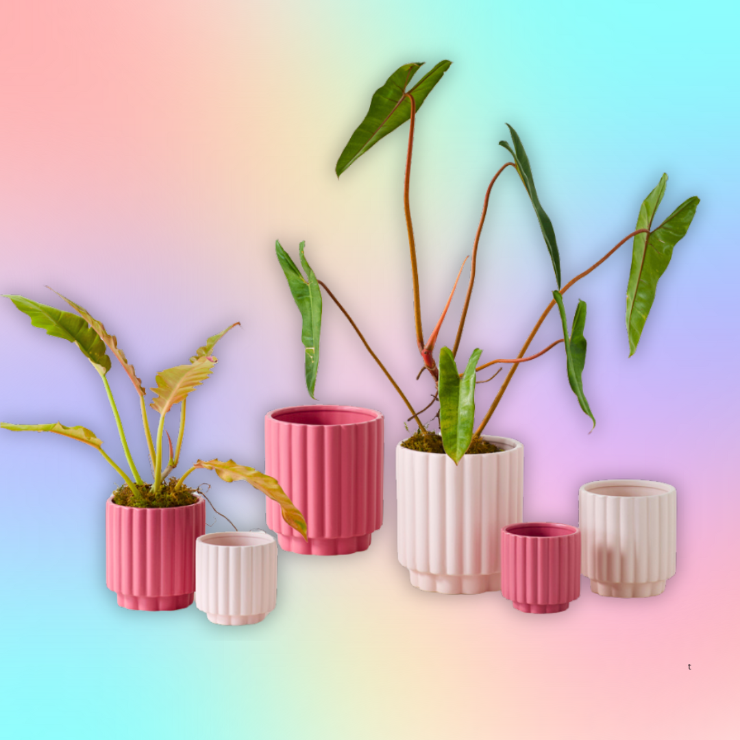 Carmen Fluted Planter in Light and Dark Pink 4" or 5"