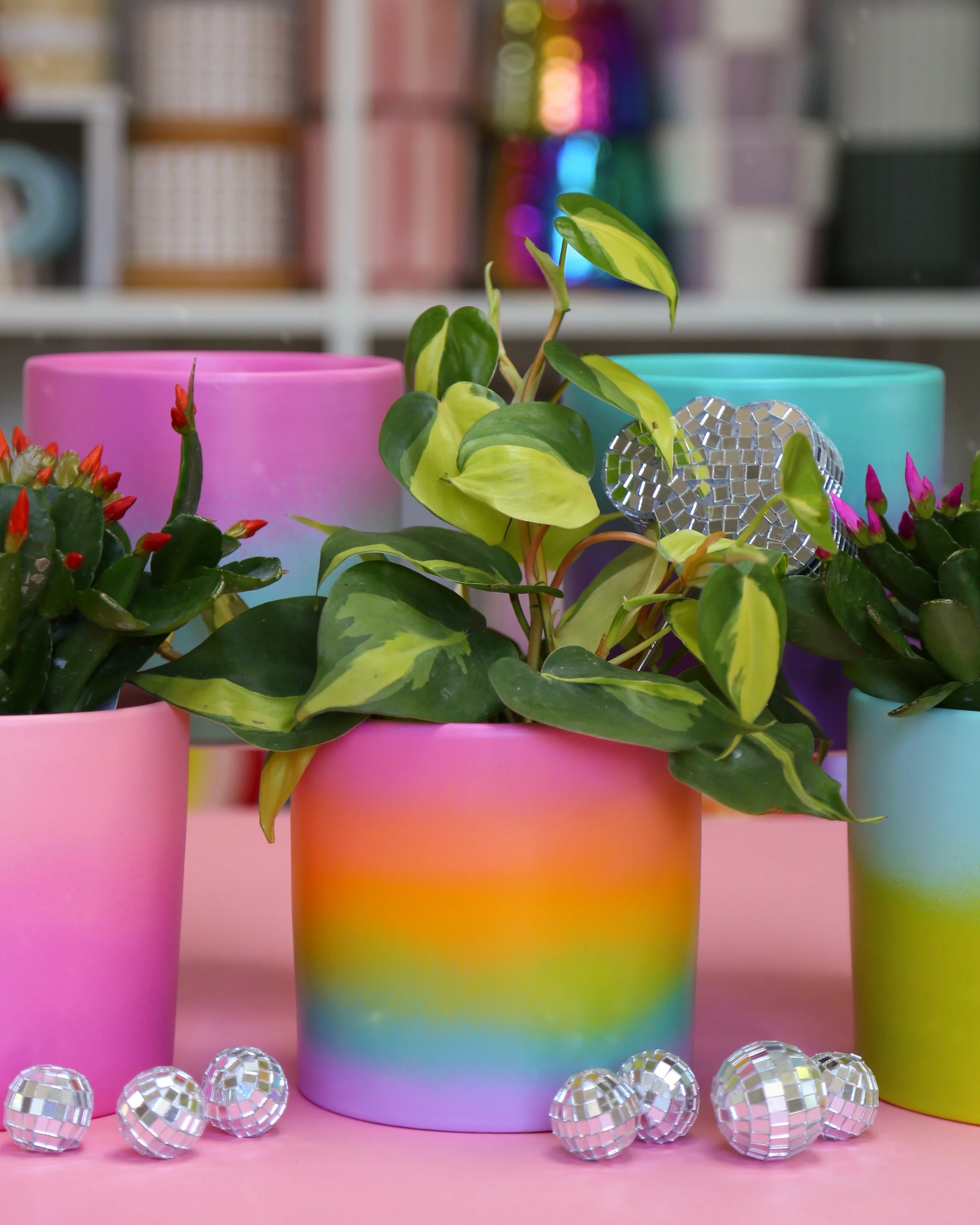 Rainbow Ombre Planters