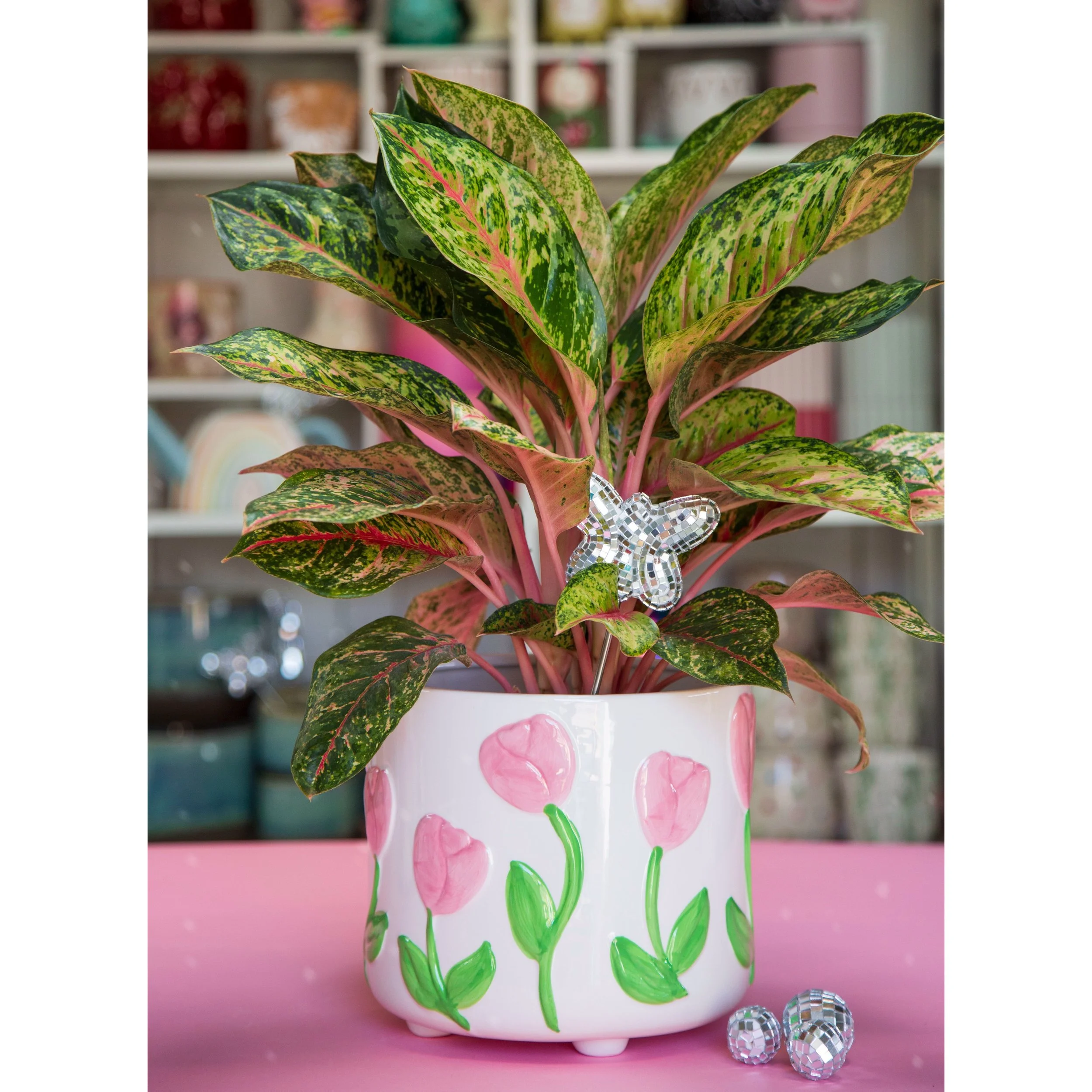 Butterfly Disco Plant Stake in Tulip Pot with Aglaonema