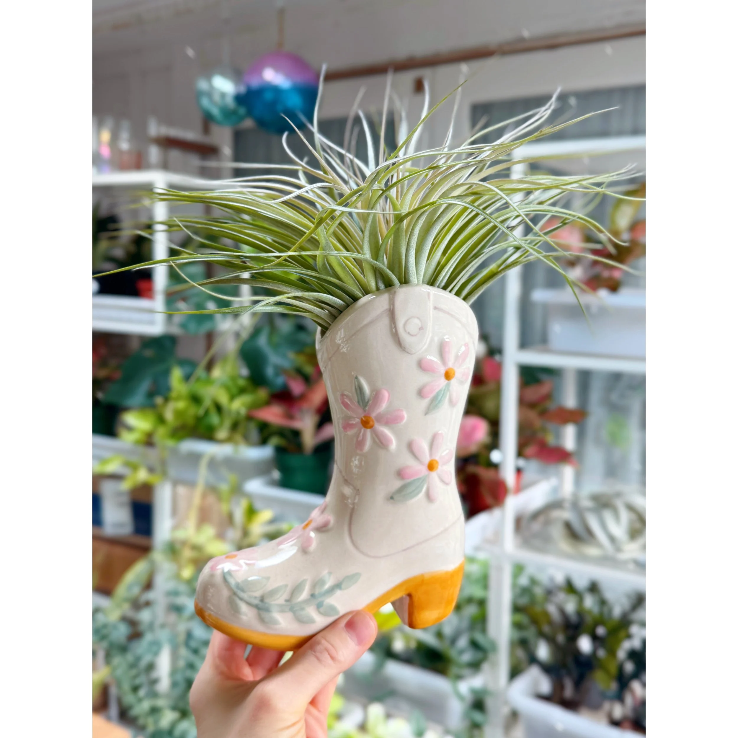 Tillandsia Houston in Cowgirl Boot Vase