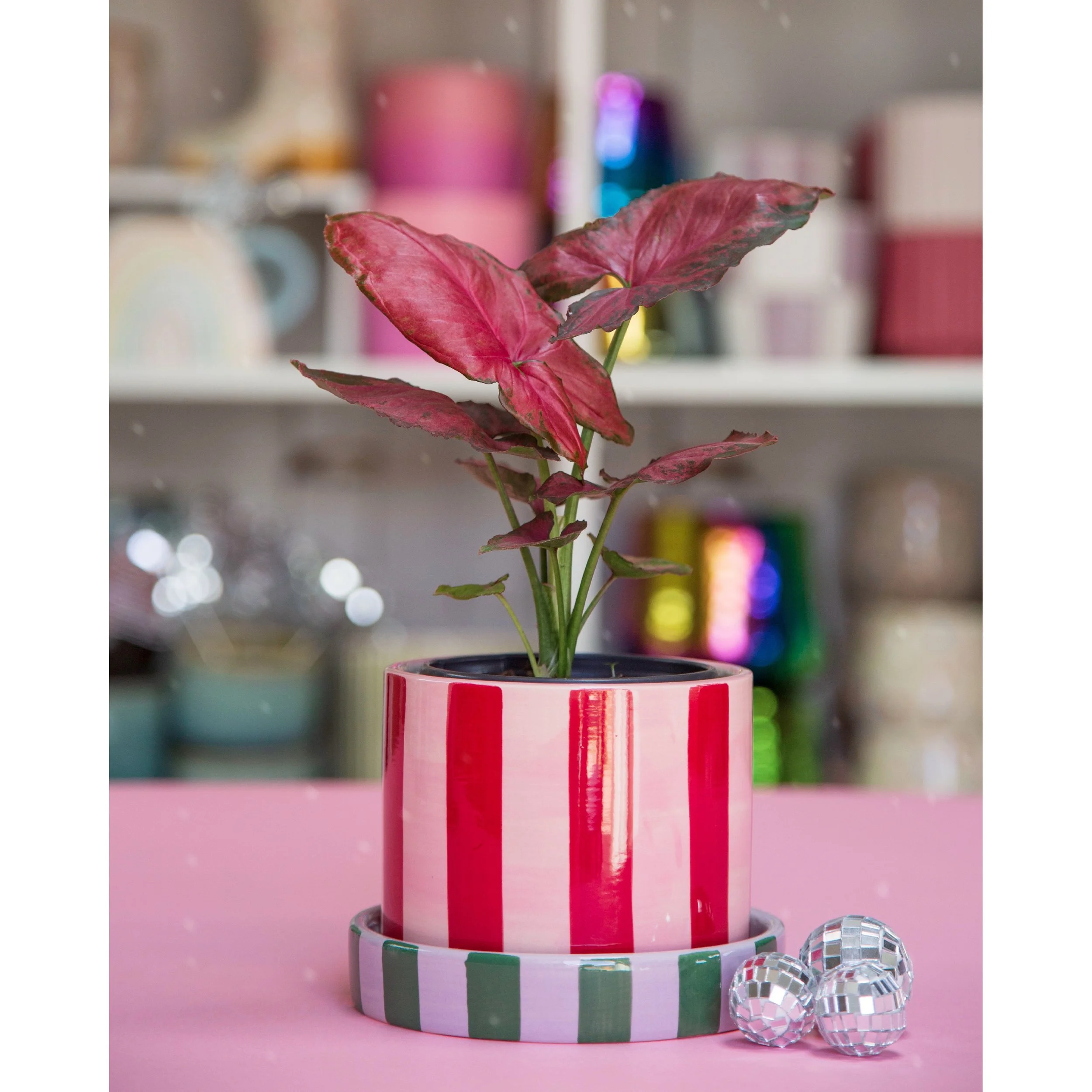 Joyelle Multi Color Stripe Pot with Saucer 5"