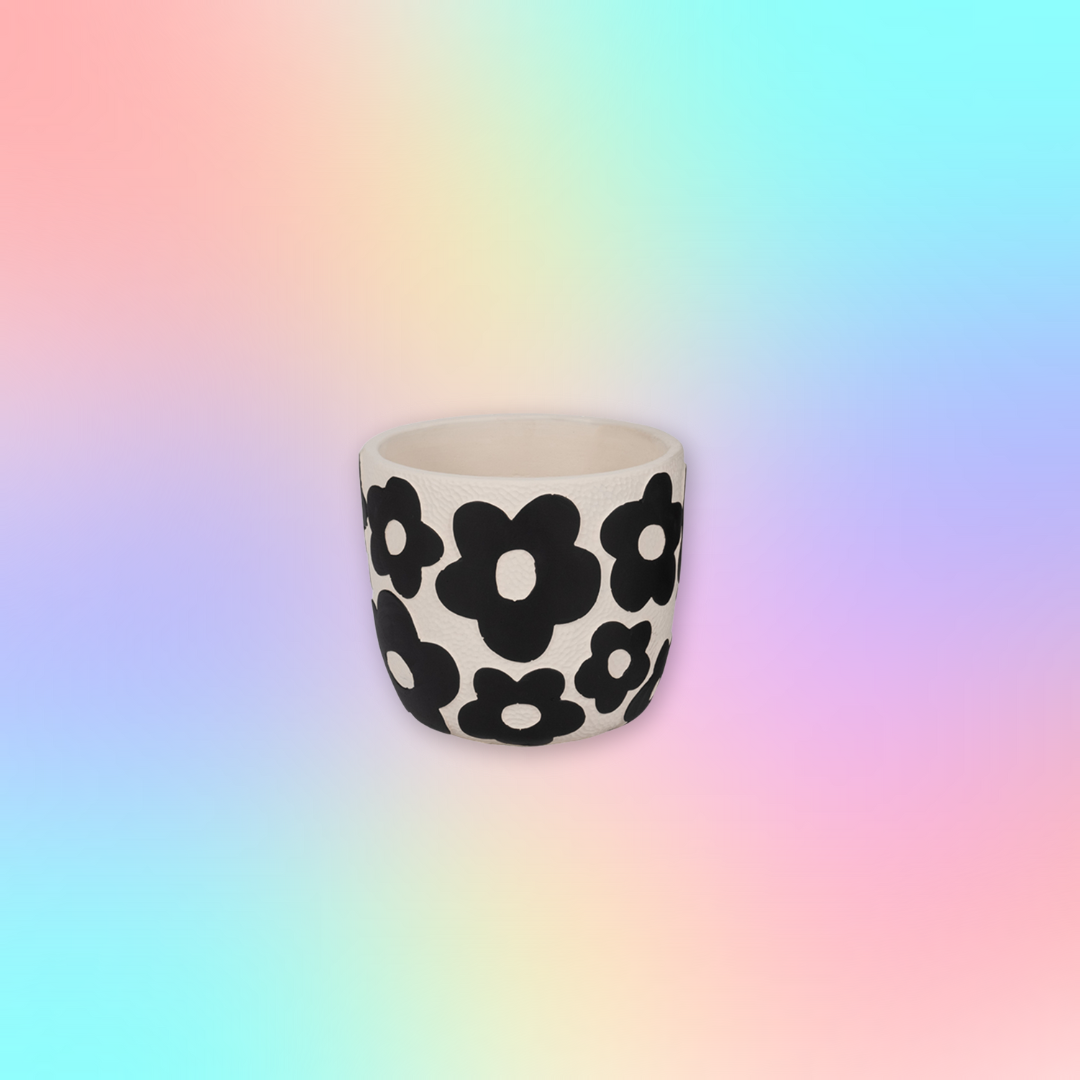 Black and White Flower Power Planters