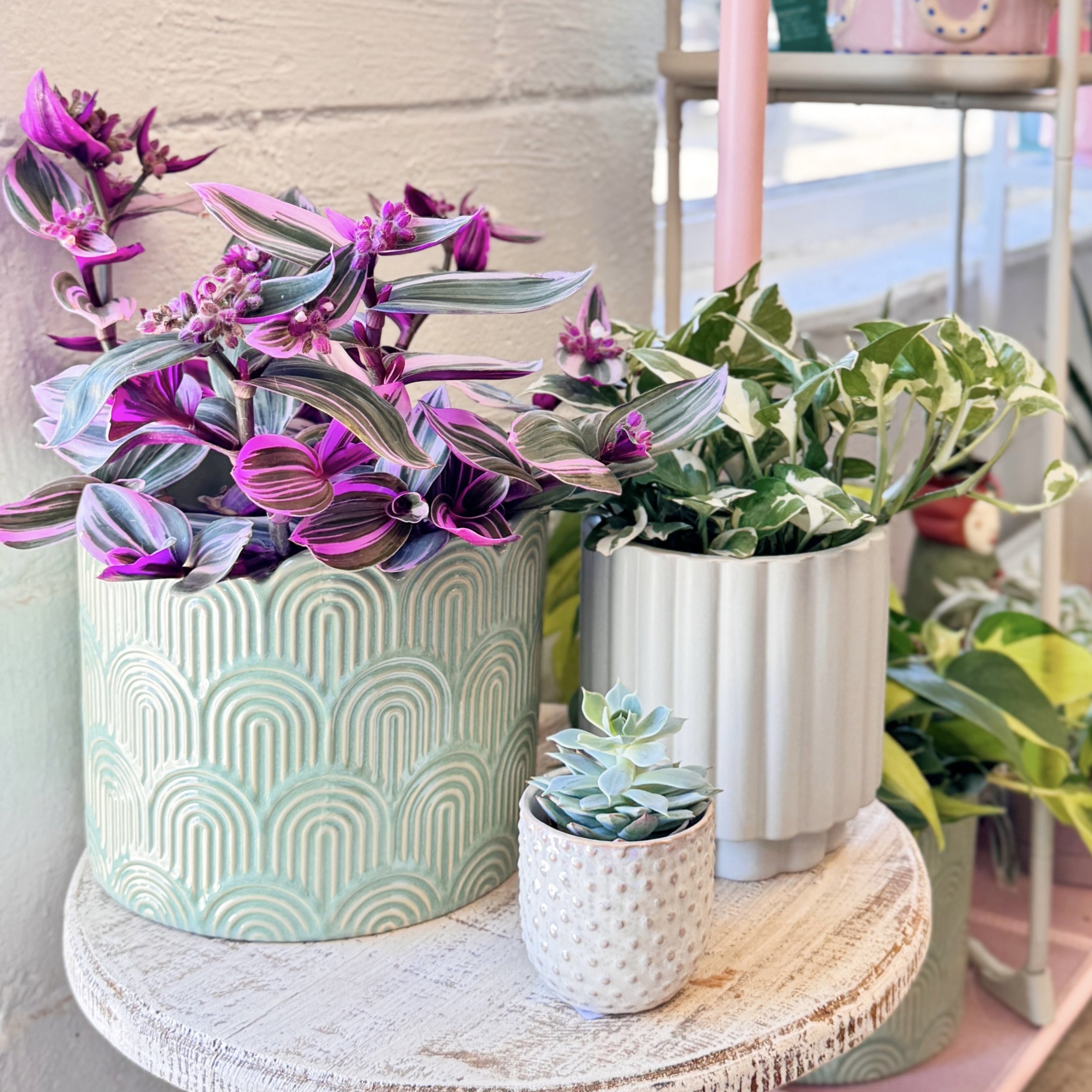 Mint Glazed Rainbow Planters