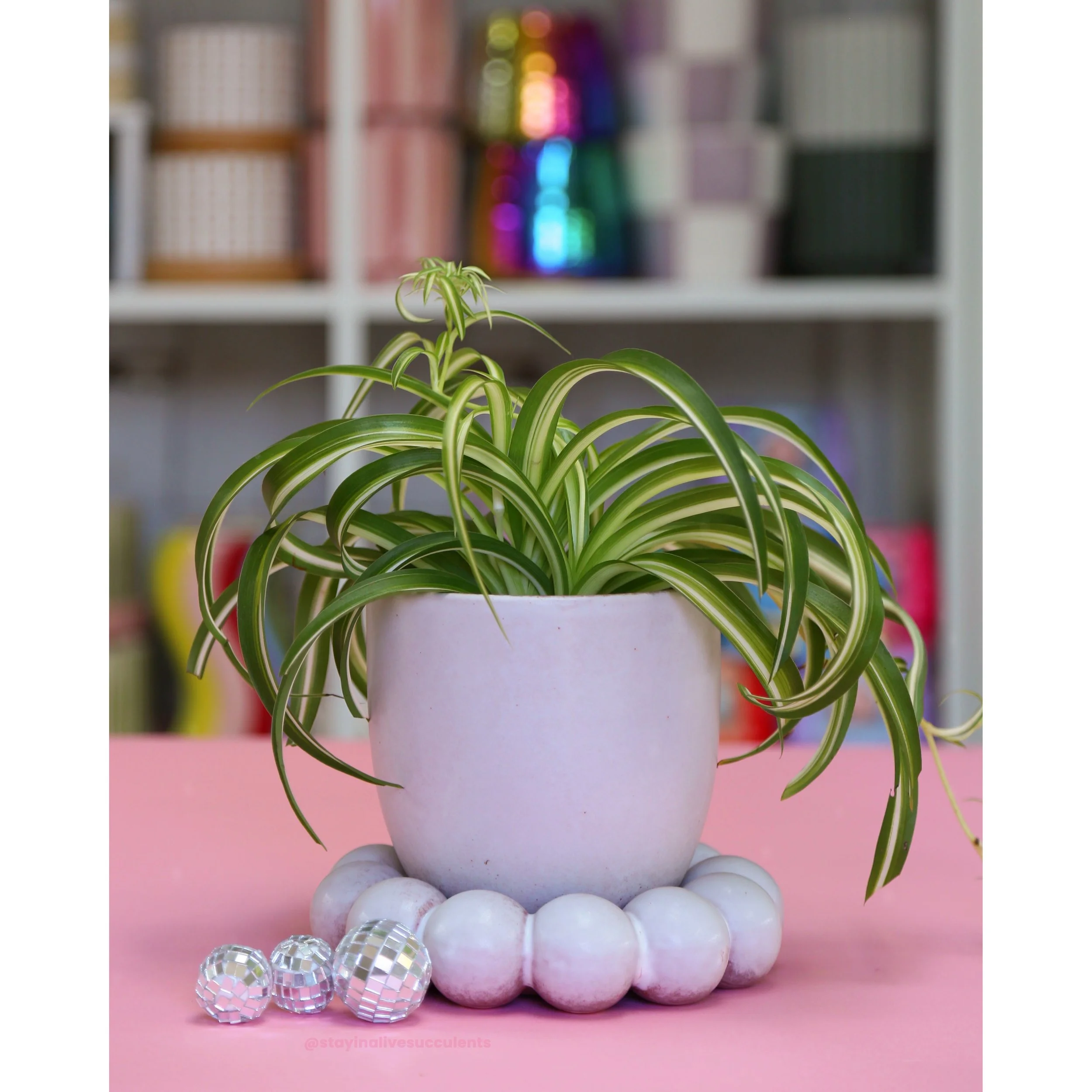 Lilac Pearl Pot with Saucer 5"