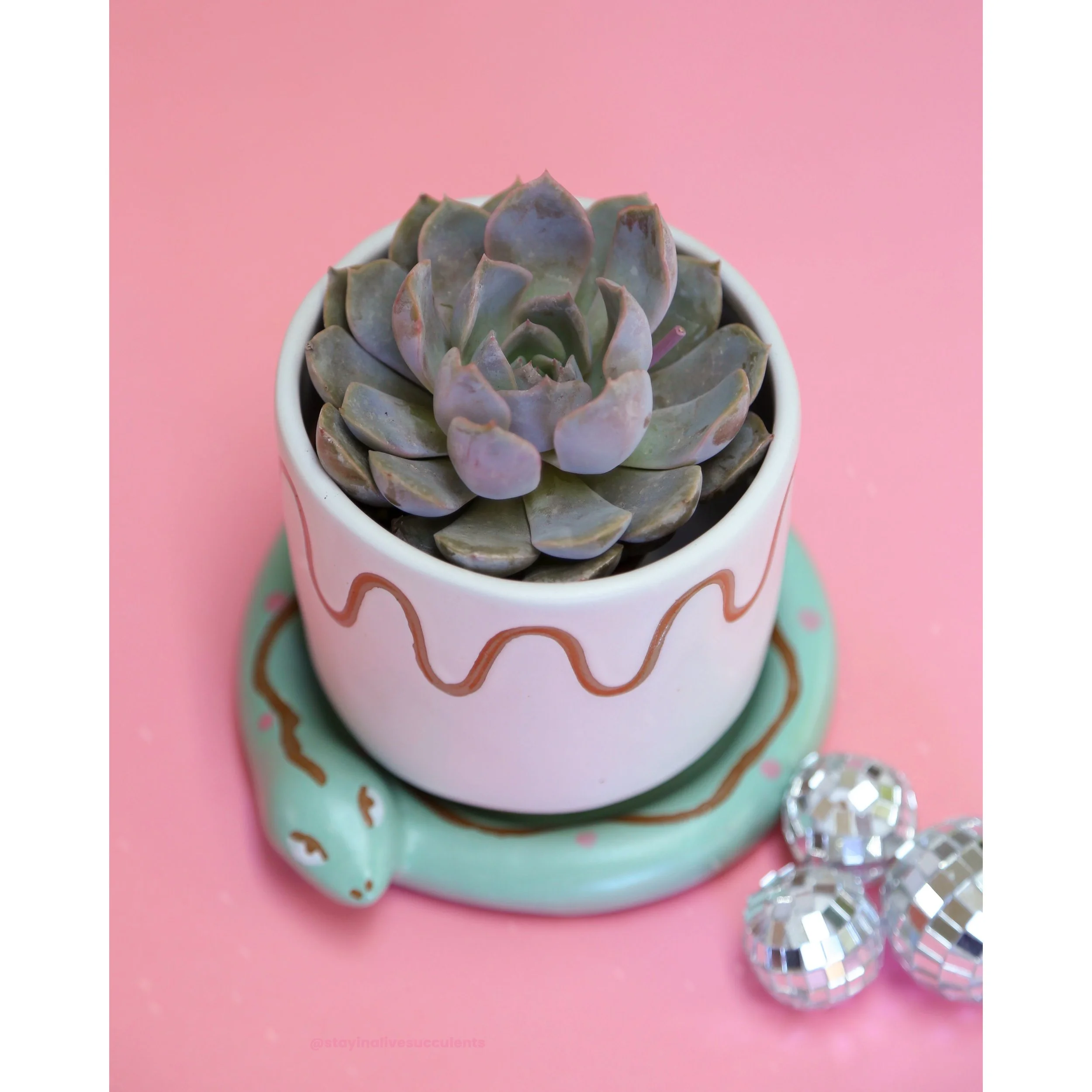 Bindi Snake Pot with Saucer 4"