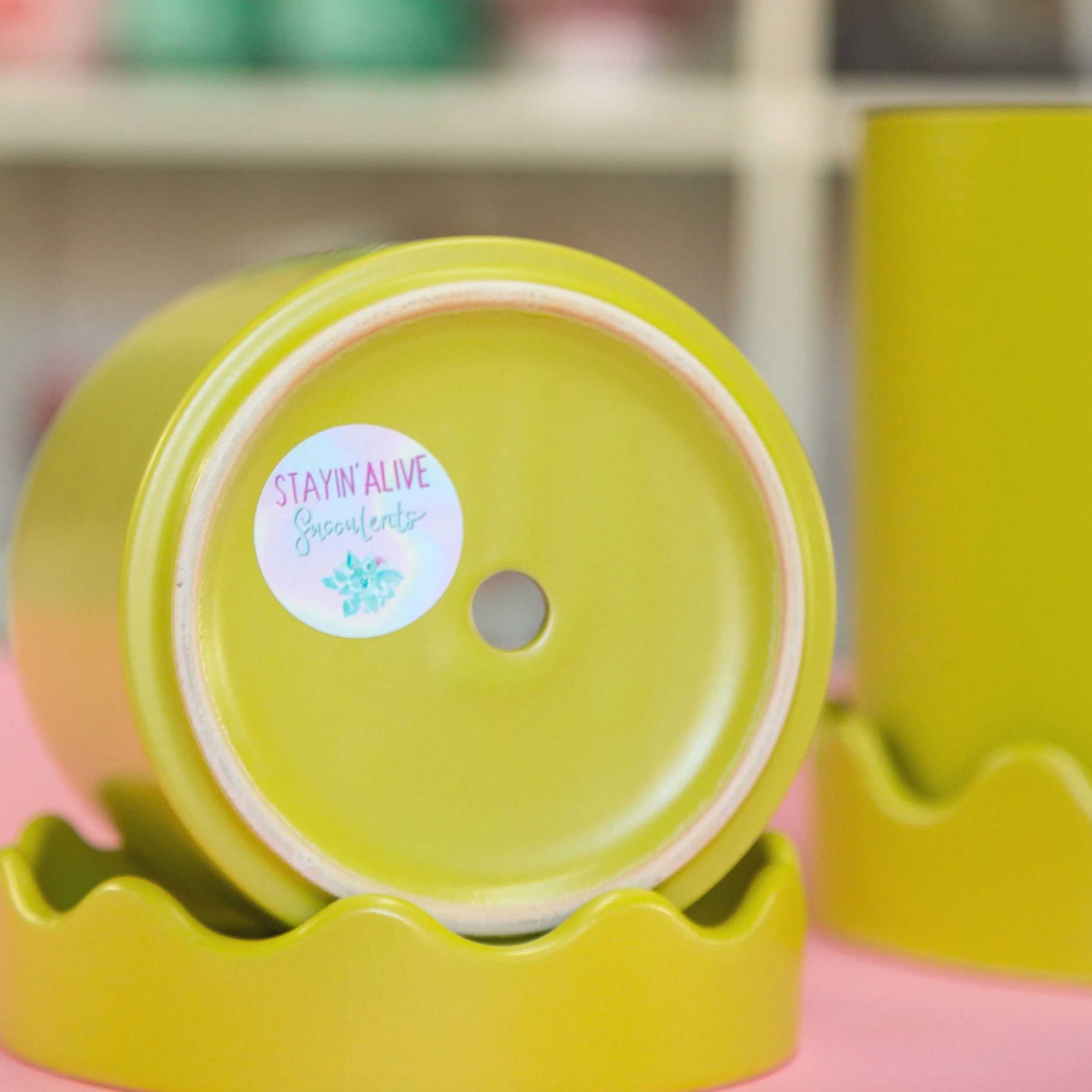 Chartreuse Scalloped Planters with Saucer