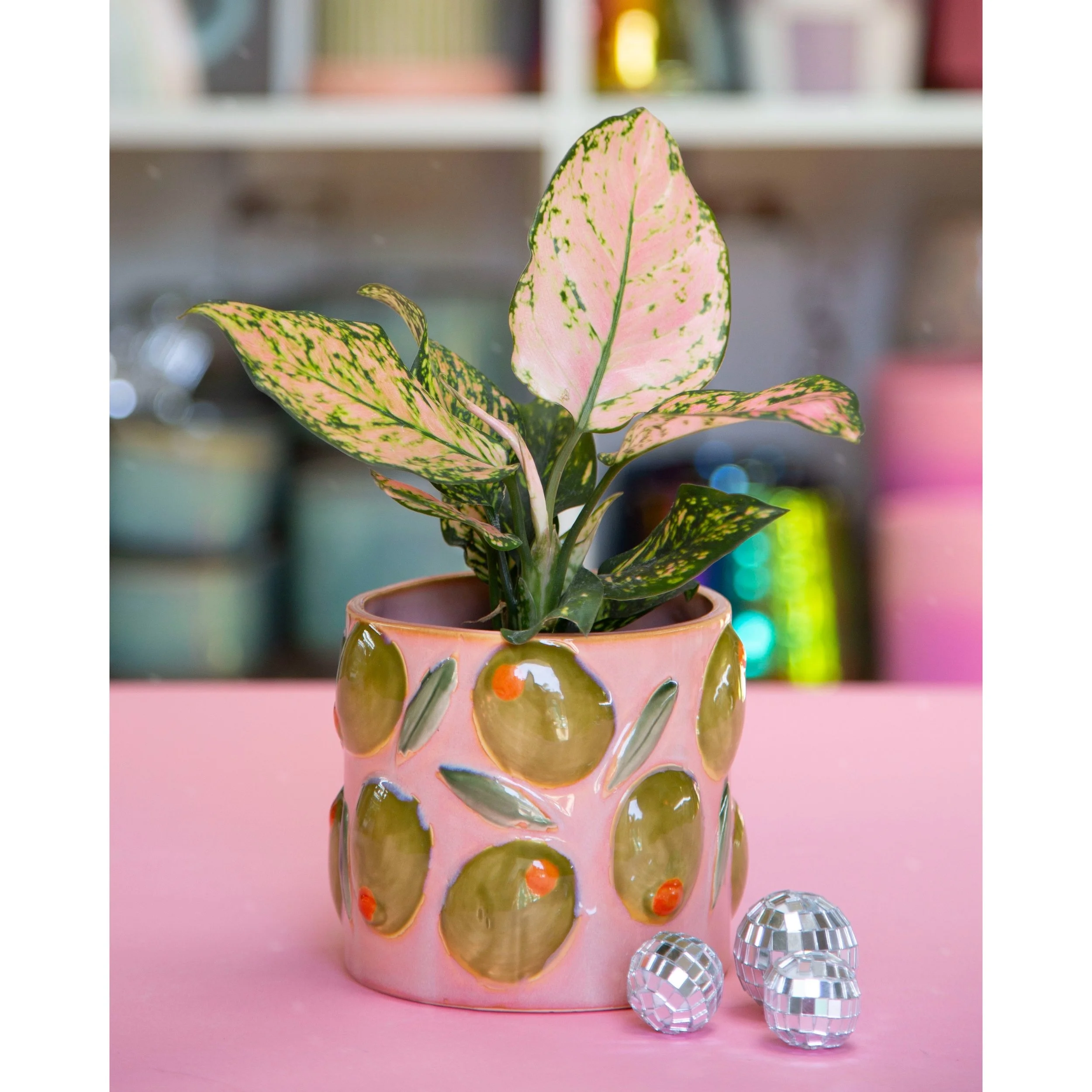 Cucina Olive Pot with Aglaonema Lady Valentine