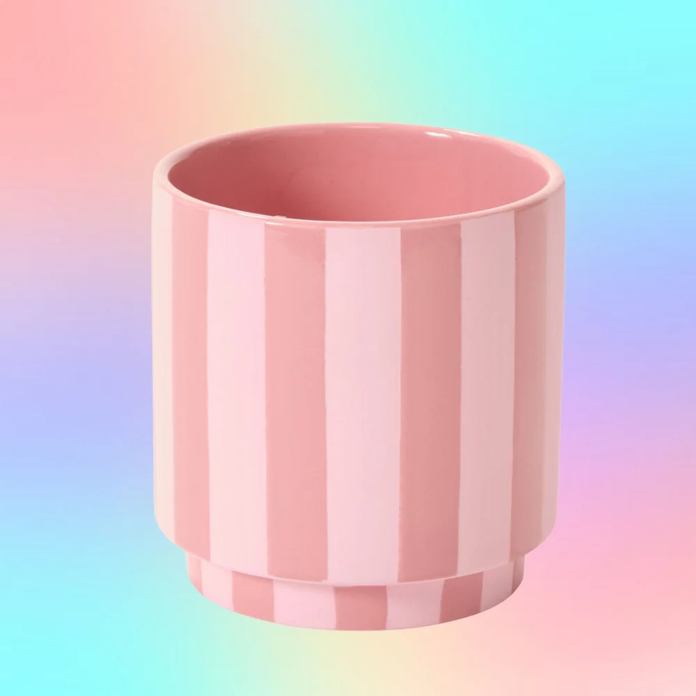 Candy Pink Striped Ceramic Planters  Stayin' Alive Succulents