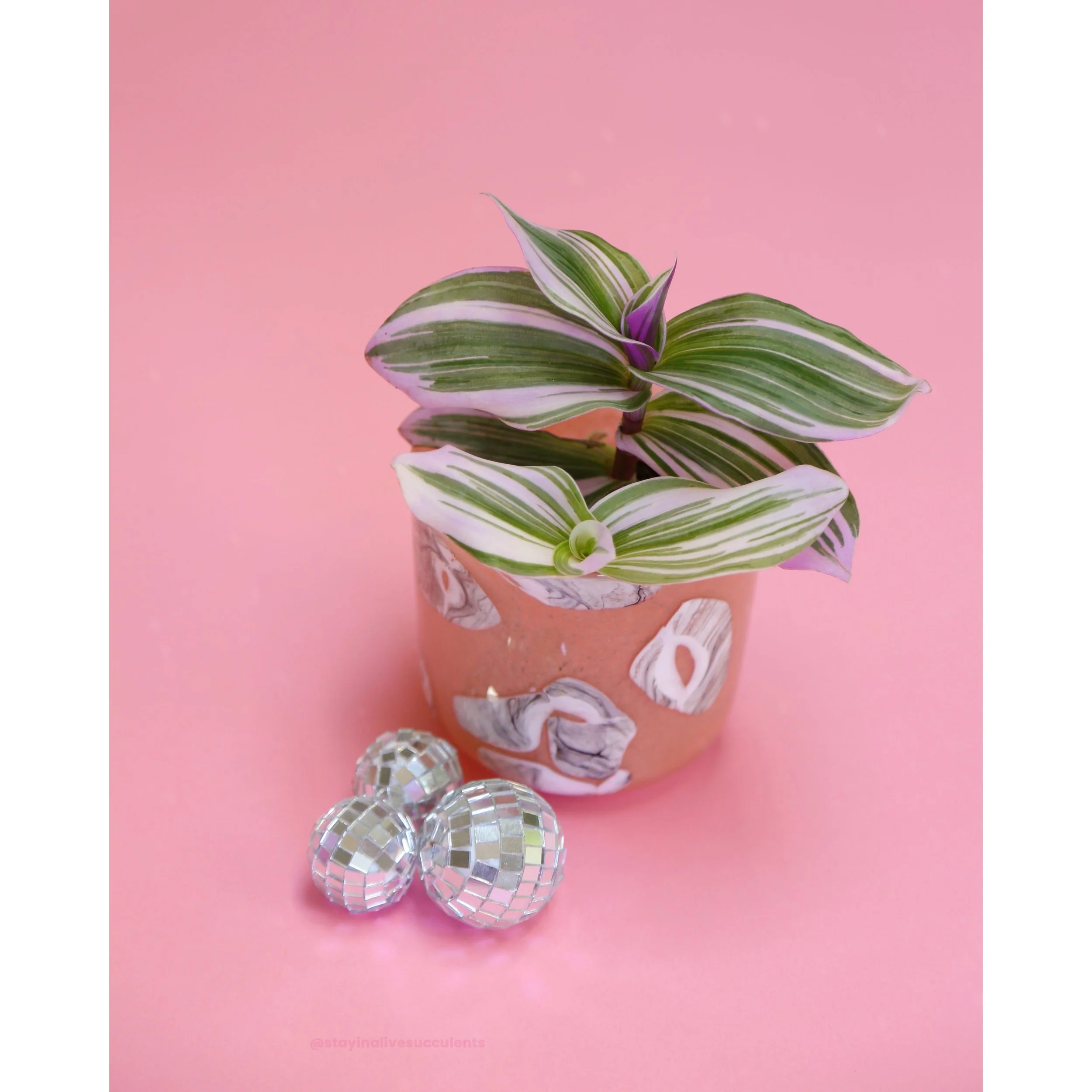 Sumi Peach Glass Planter with Tradescantia Nanouk