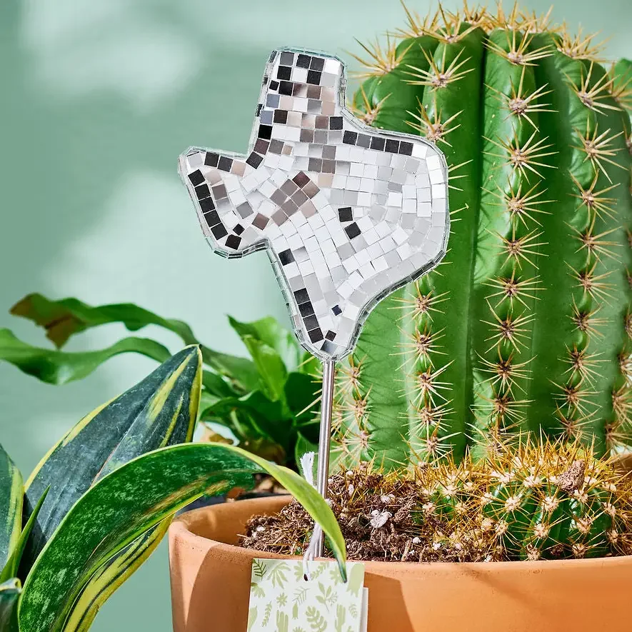 Texas Disco Plant Stake