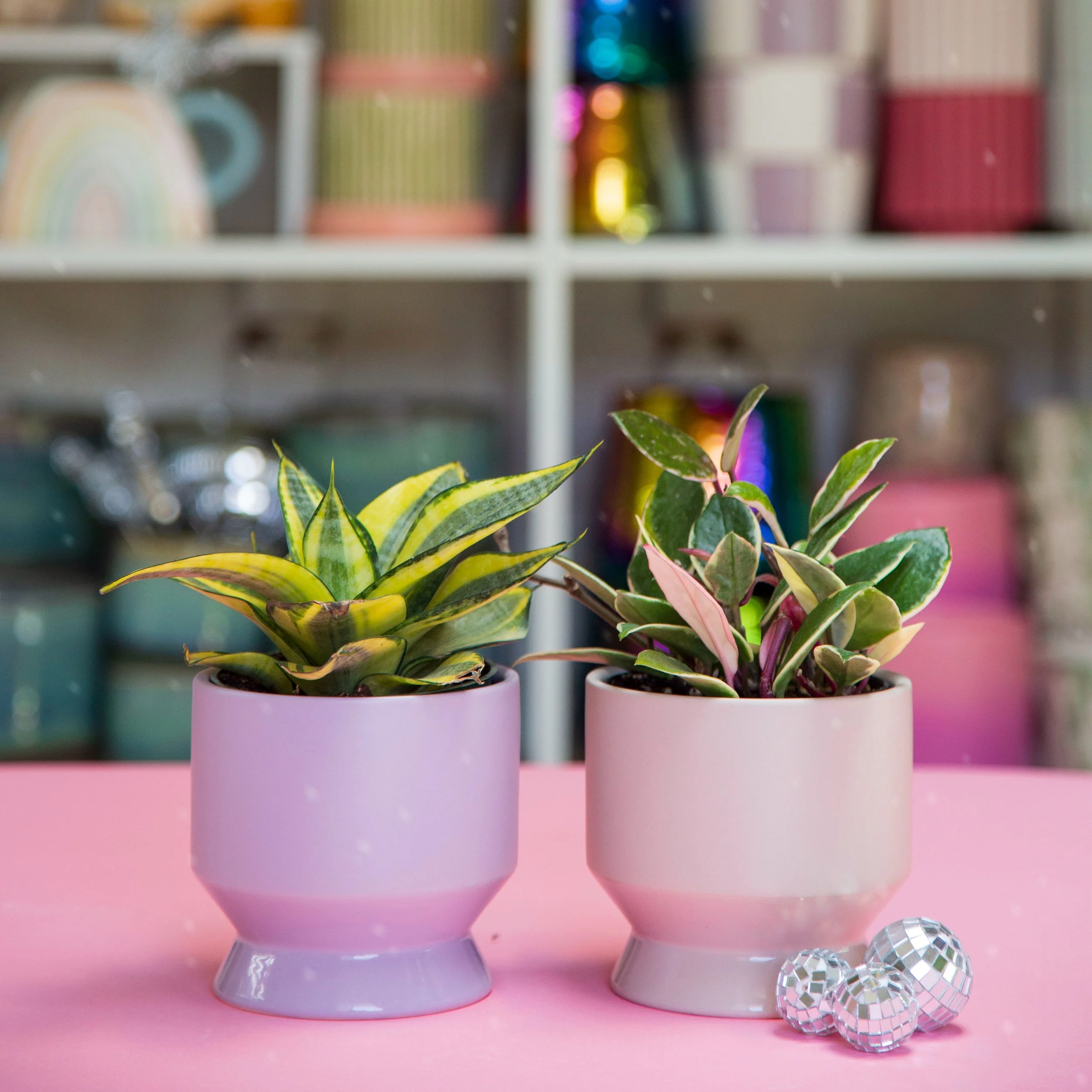 Pasadena Ceramic Planter 4" - Tan or Lilac