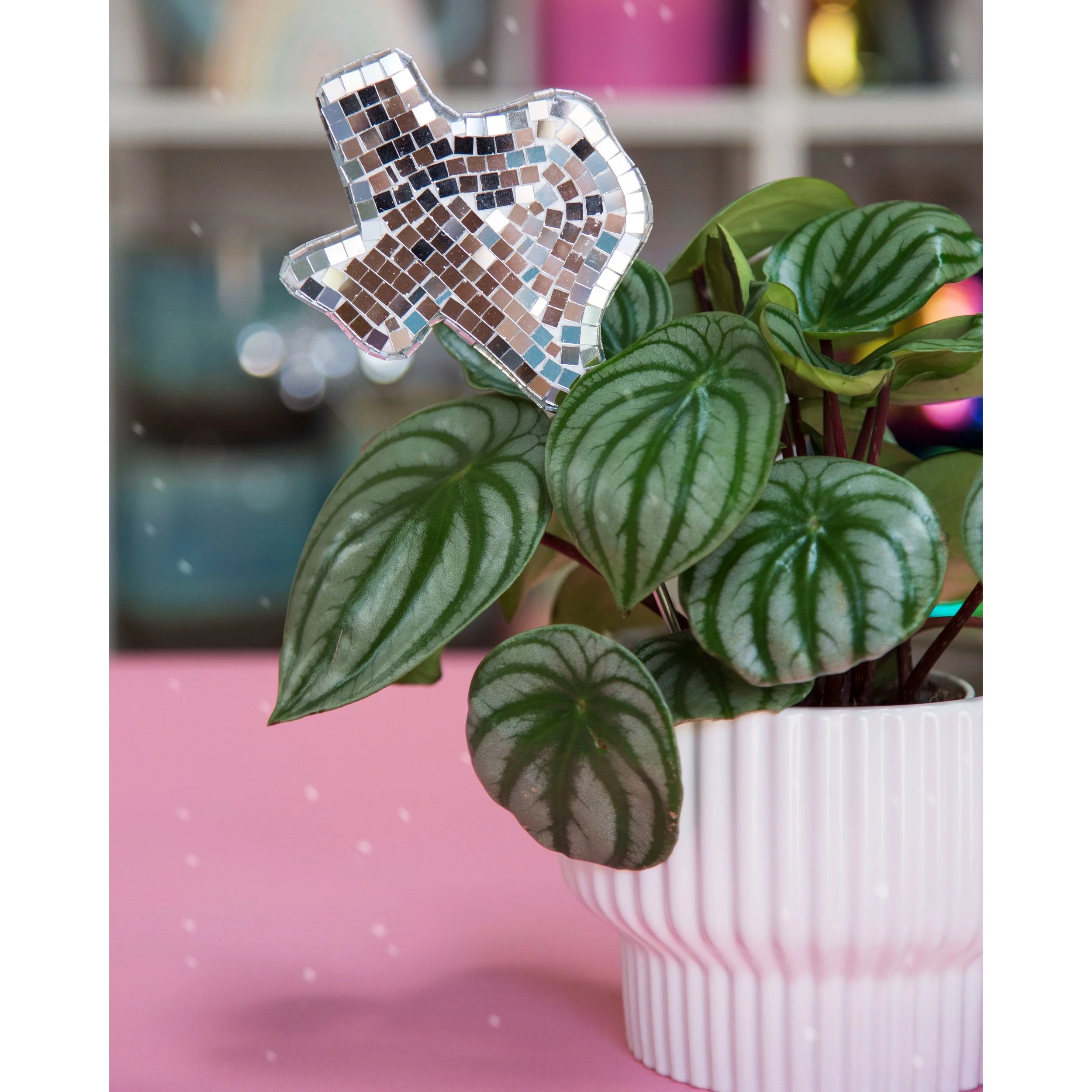 Texas Disco Plant Stake