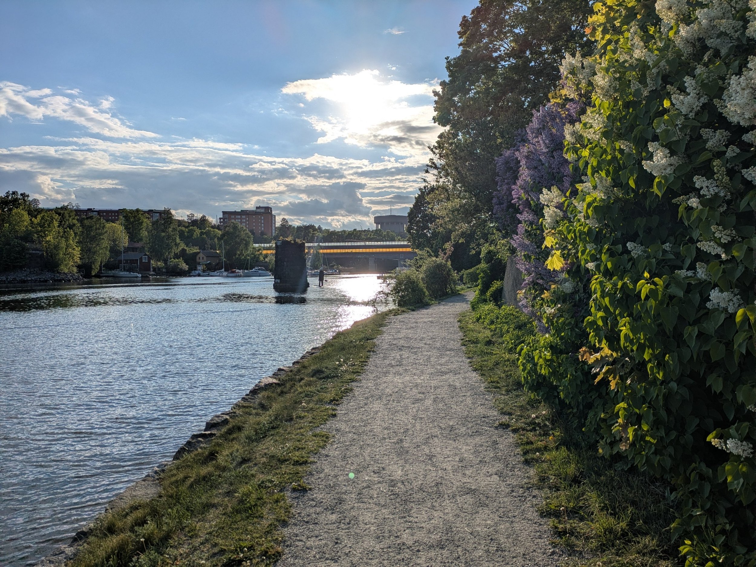 The Long Way