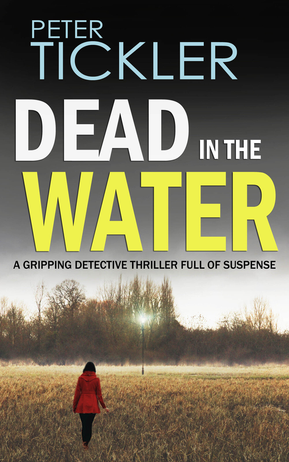 cover+dead+in+the+water+NEW.jpg