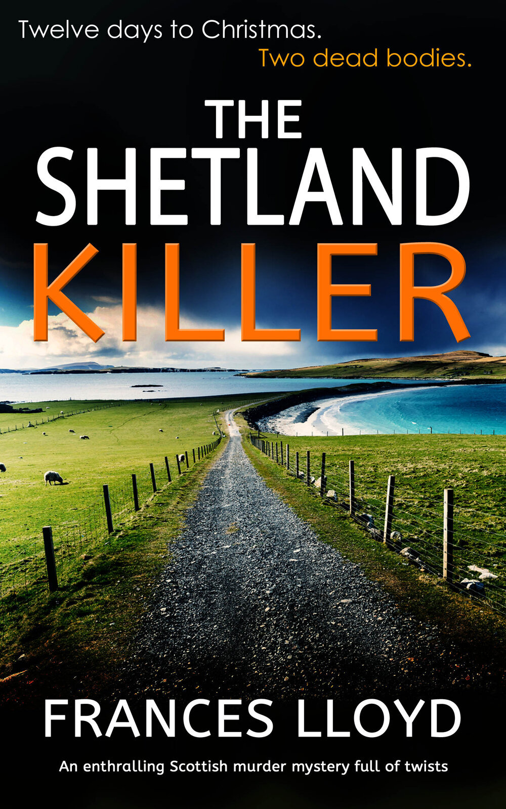 The+Shetland+Killer+publish.jpg