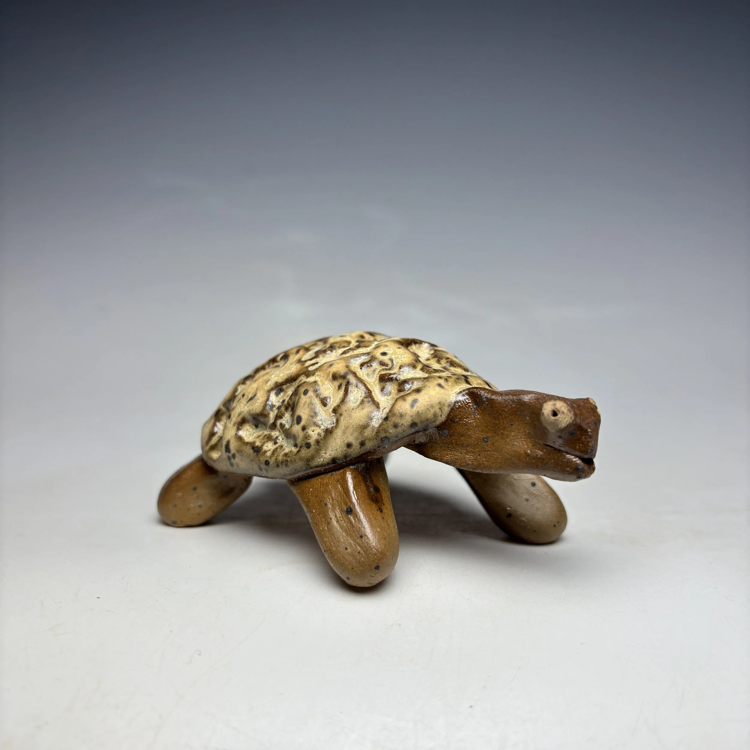 Ceramic Turtle (Small)