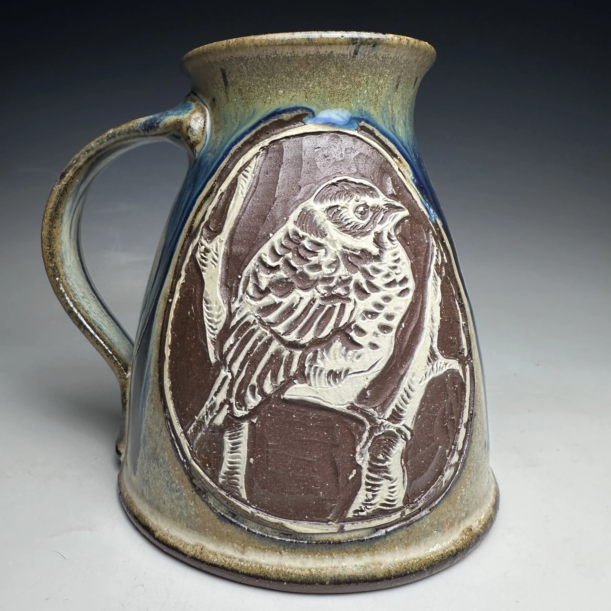 Juvenile American Robin Mug