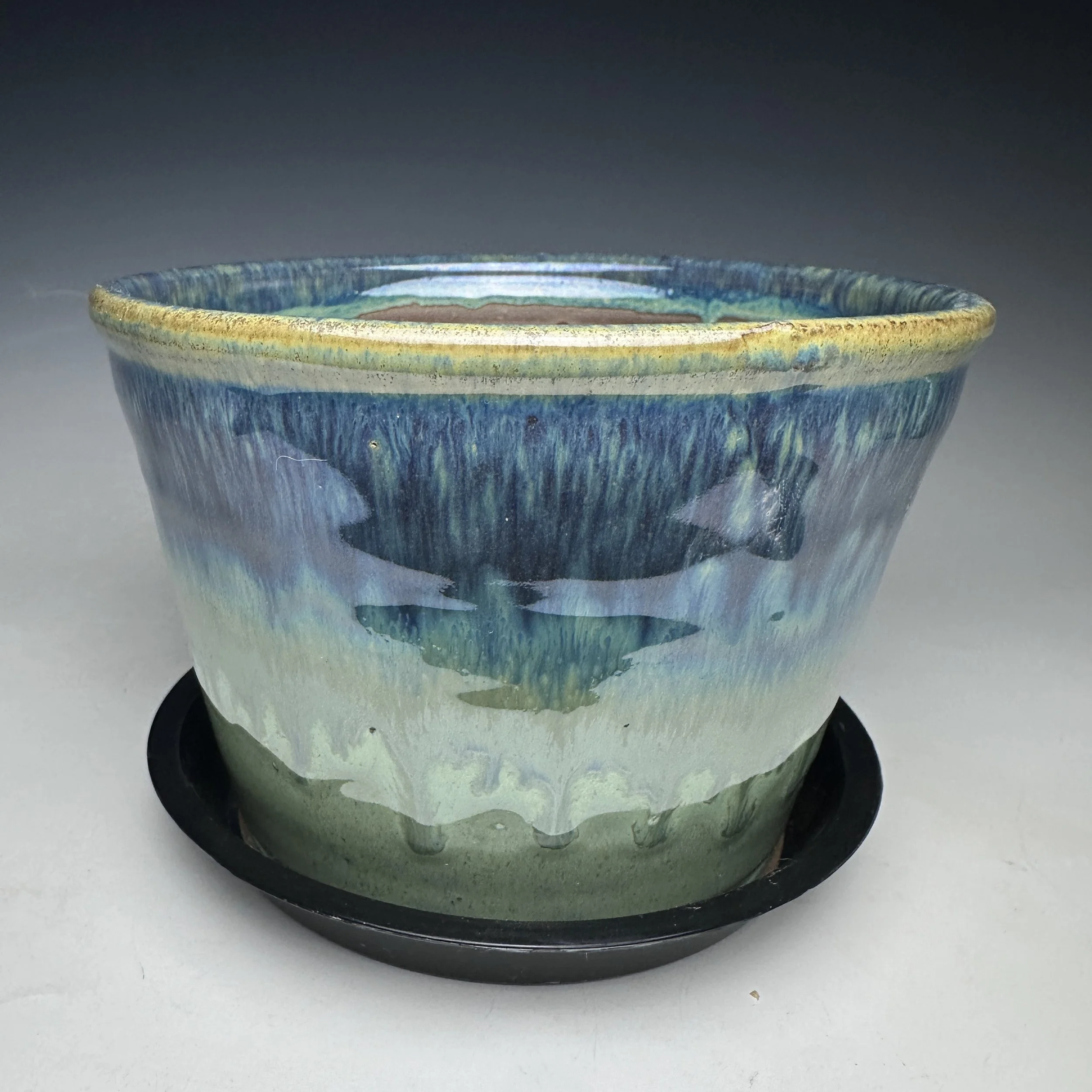 Planter (Hot To Trot)