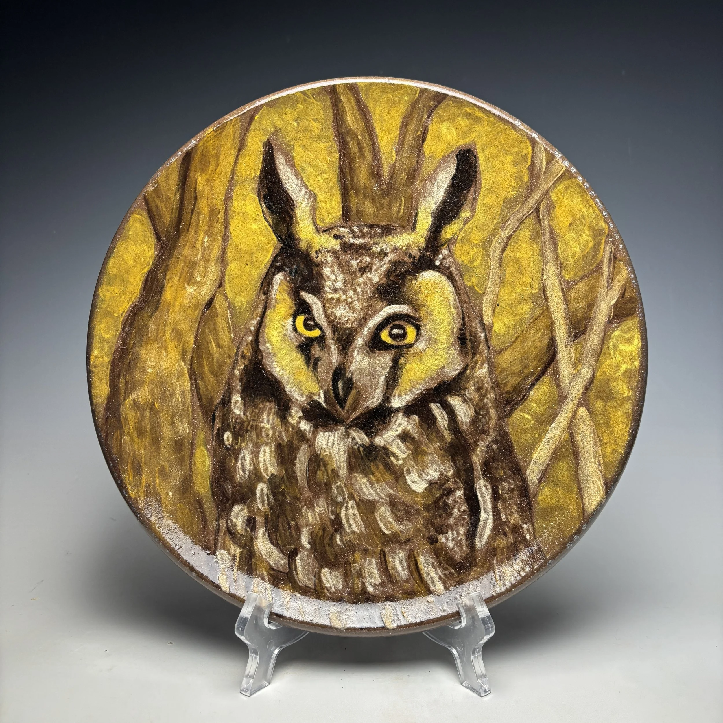Hand Painted Long Eared Owl Plate