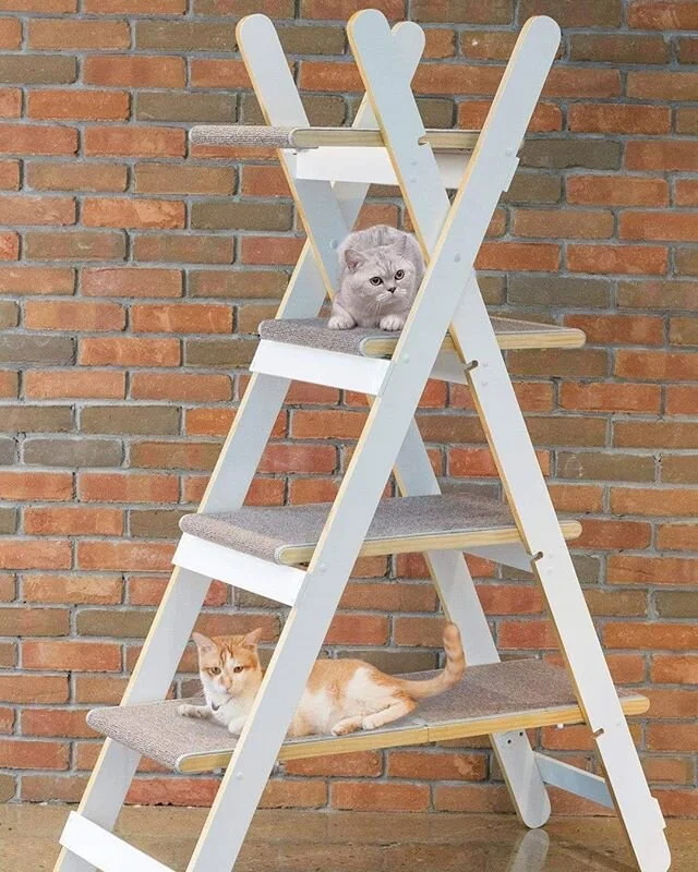 #cattree
Designer @jepinard 
Company: Merry Products
Modern folding cat tree available through all major online retailers
#industrialdesign #design #cat #toronto #furniture #pet