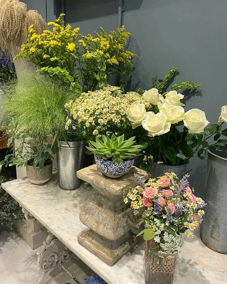 πΎ We're feeling wild summer vibes in the shop todayβ
#wildflowers #flowerslondon #londonflorist #barnesflorist #flowershopbarnes #whitehartlane #richmondflorist