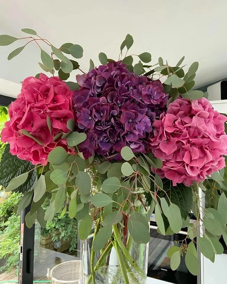 Beauties π large hydrangea heads with overflowing eucalyptus for a stunning and fresh summer vase π
#summerflowers #summerbouquet #flowerslondon #floristrichmond #floristbarnes #barnesflowershop #hydrangeas #vaseofhydrangea #eucalyptus #flowersoft
