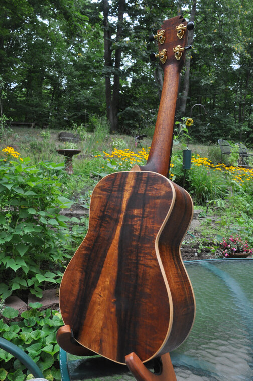 dsc_0069opt.jpg