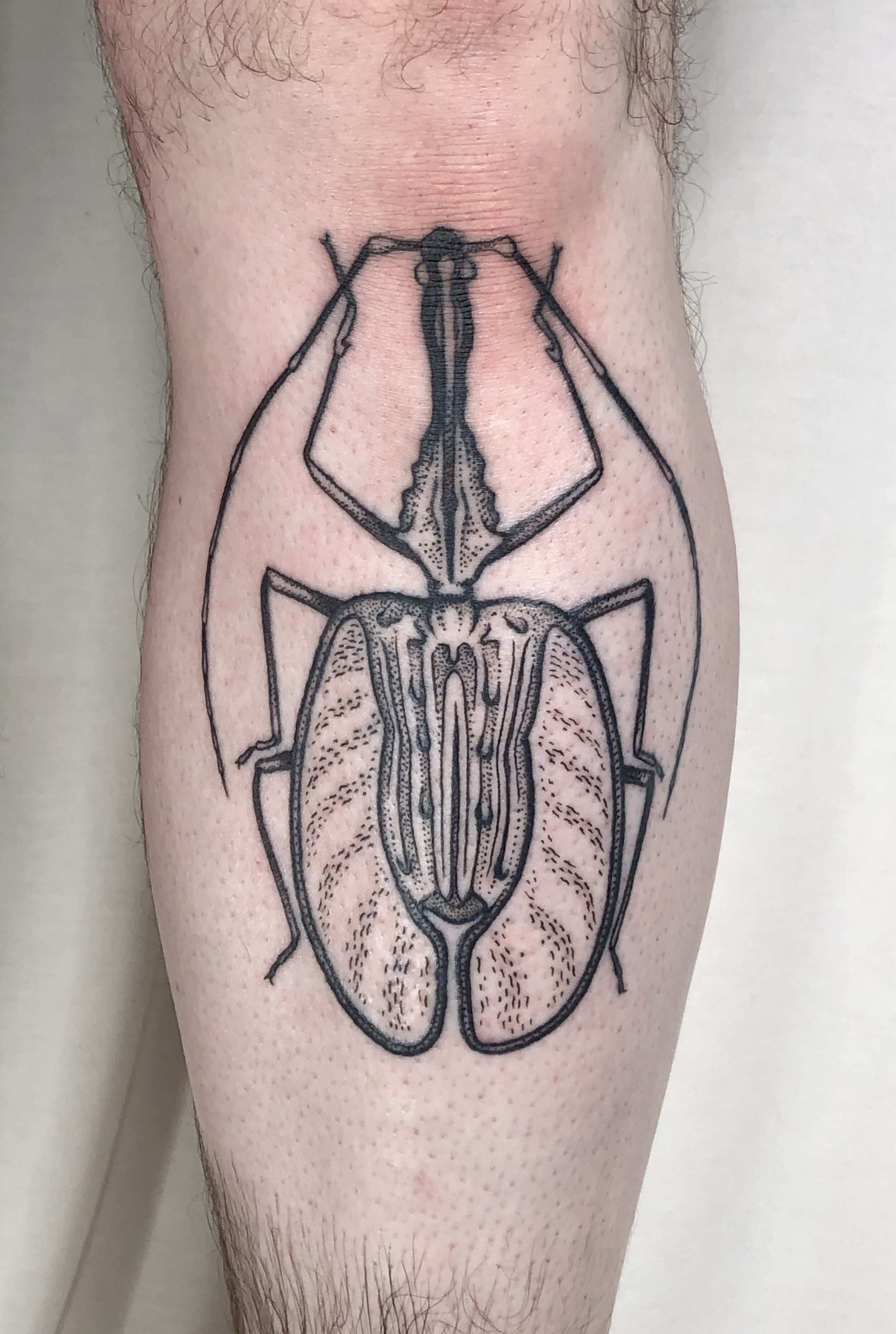 Escarabajo Hercules, custom design | Miguel Angel Custom Tat… | Flickr