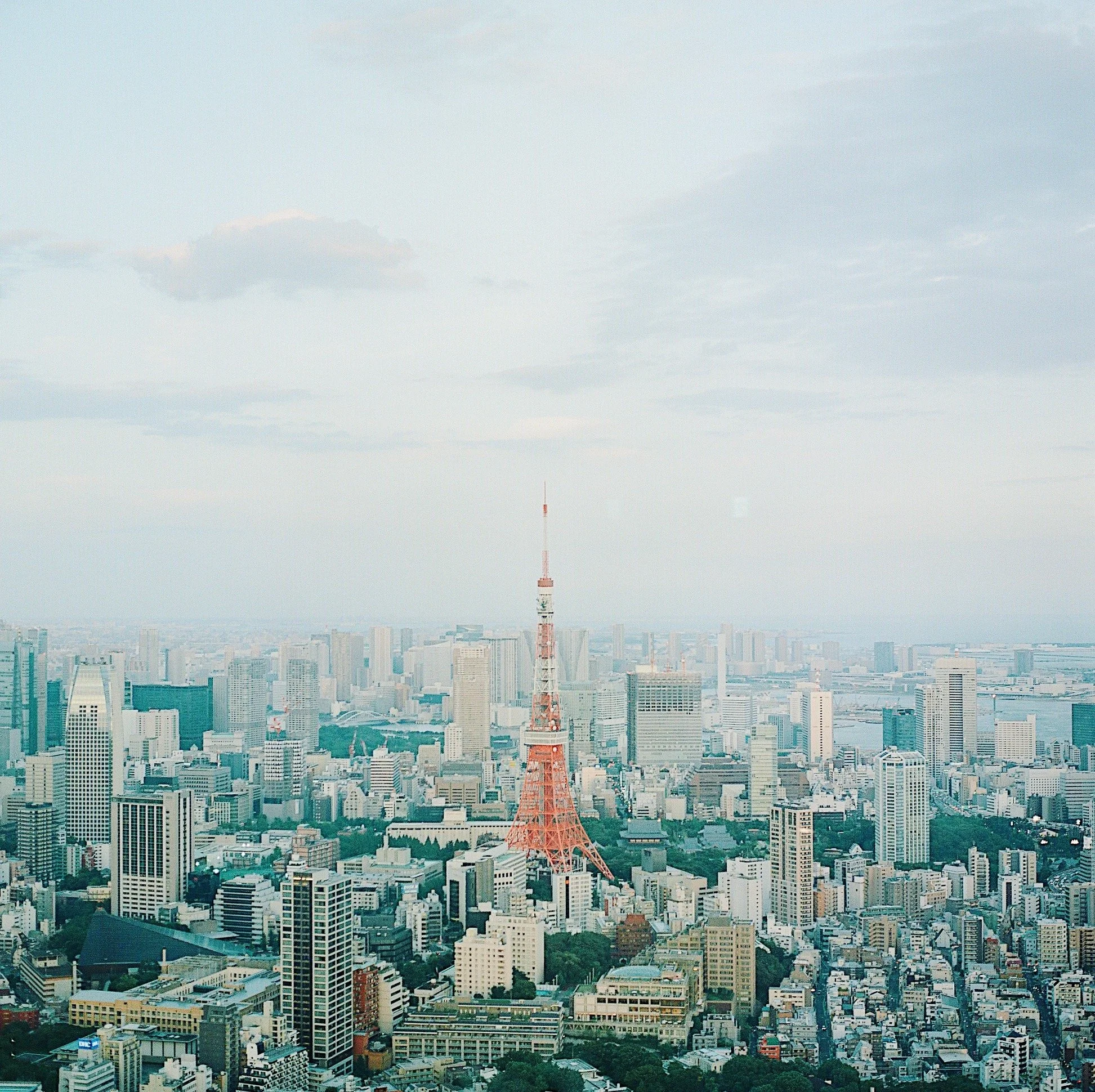 Tokyo Tower Hasselblad